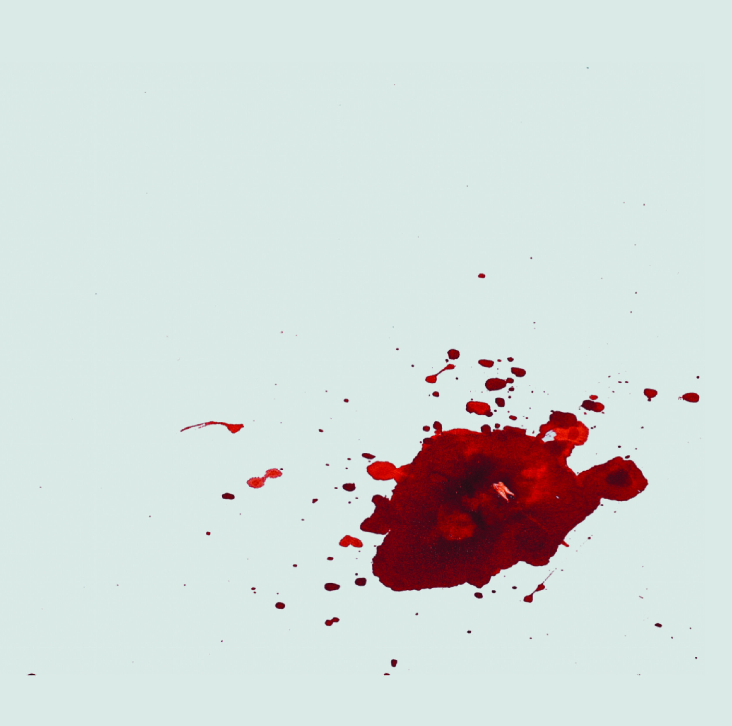 booklet.jpg