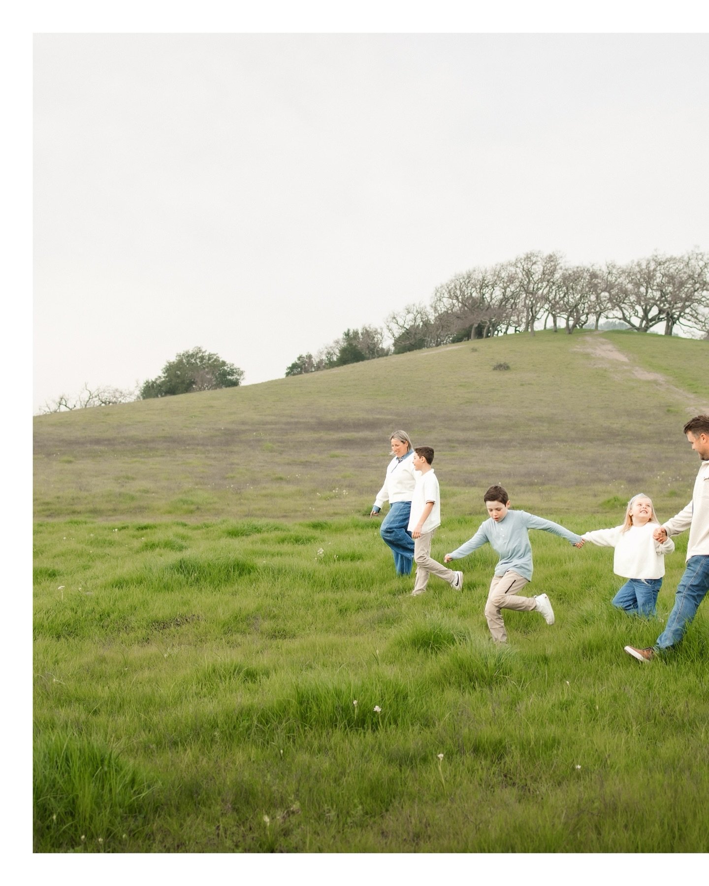 This shoot brought to you by cloudy skies and wild flowers 🌷☁️ 

#alishiaannephotography