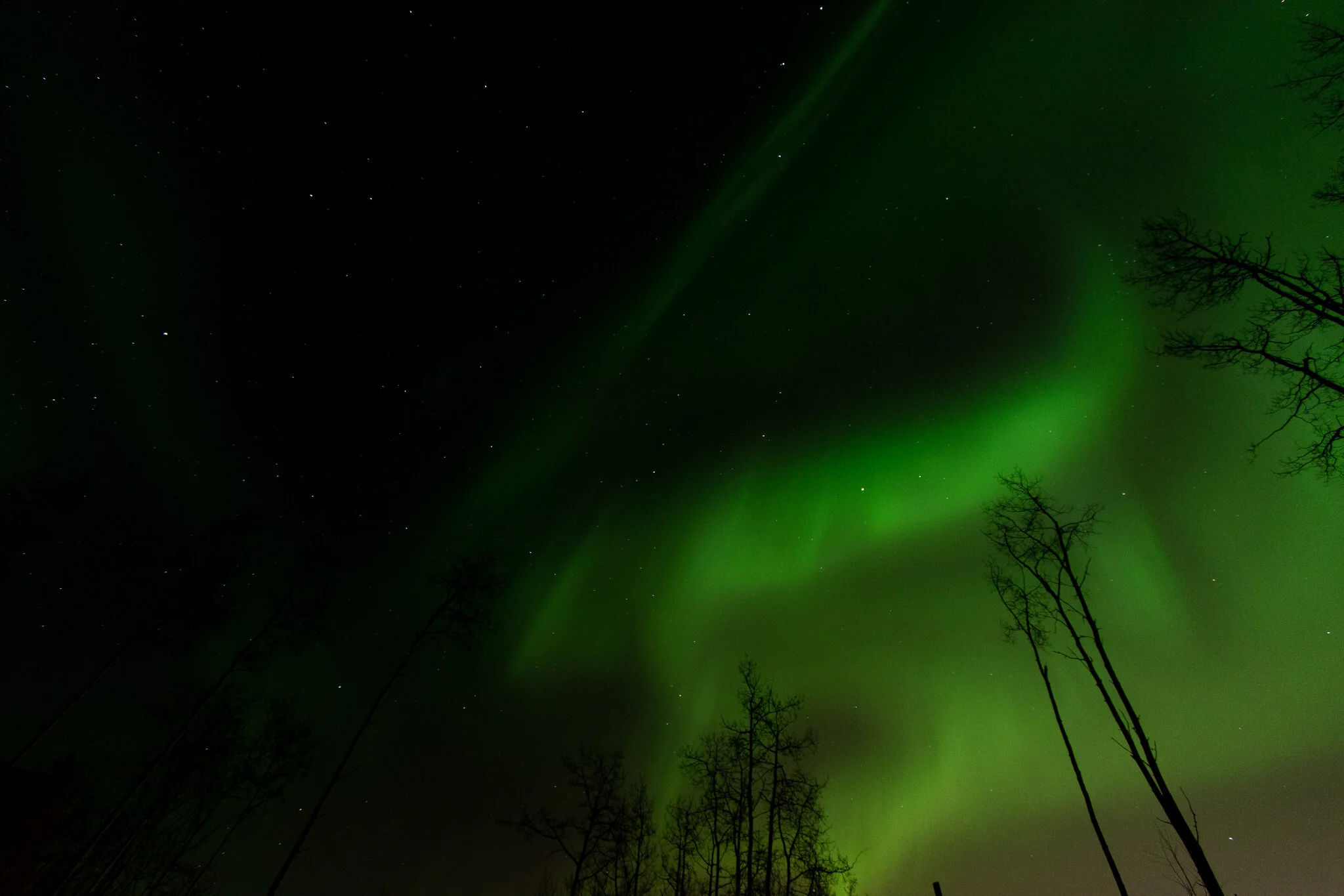 SKW_0272.jpg