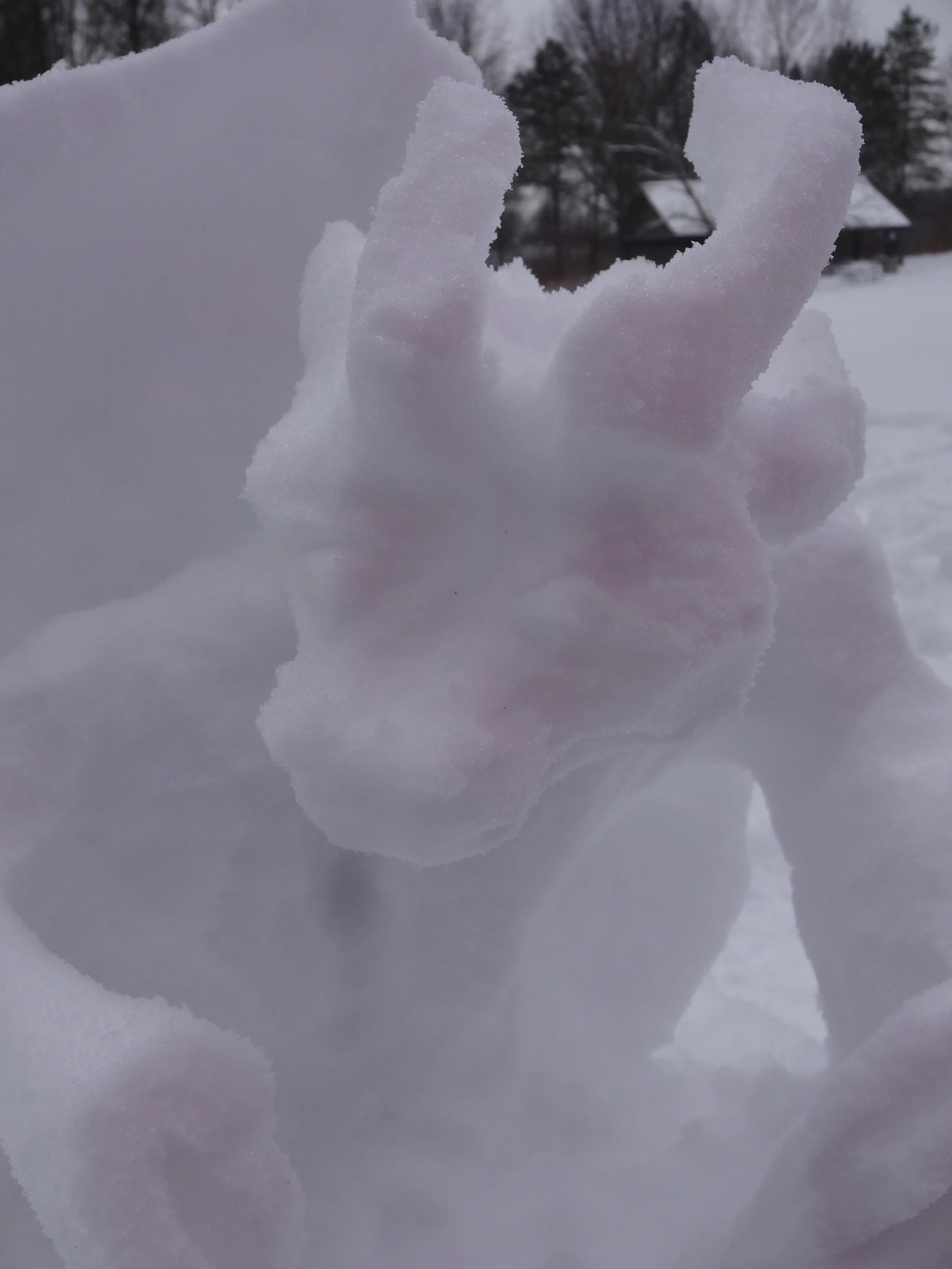 Snow Dragon