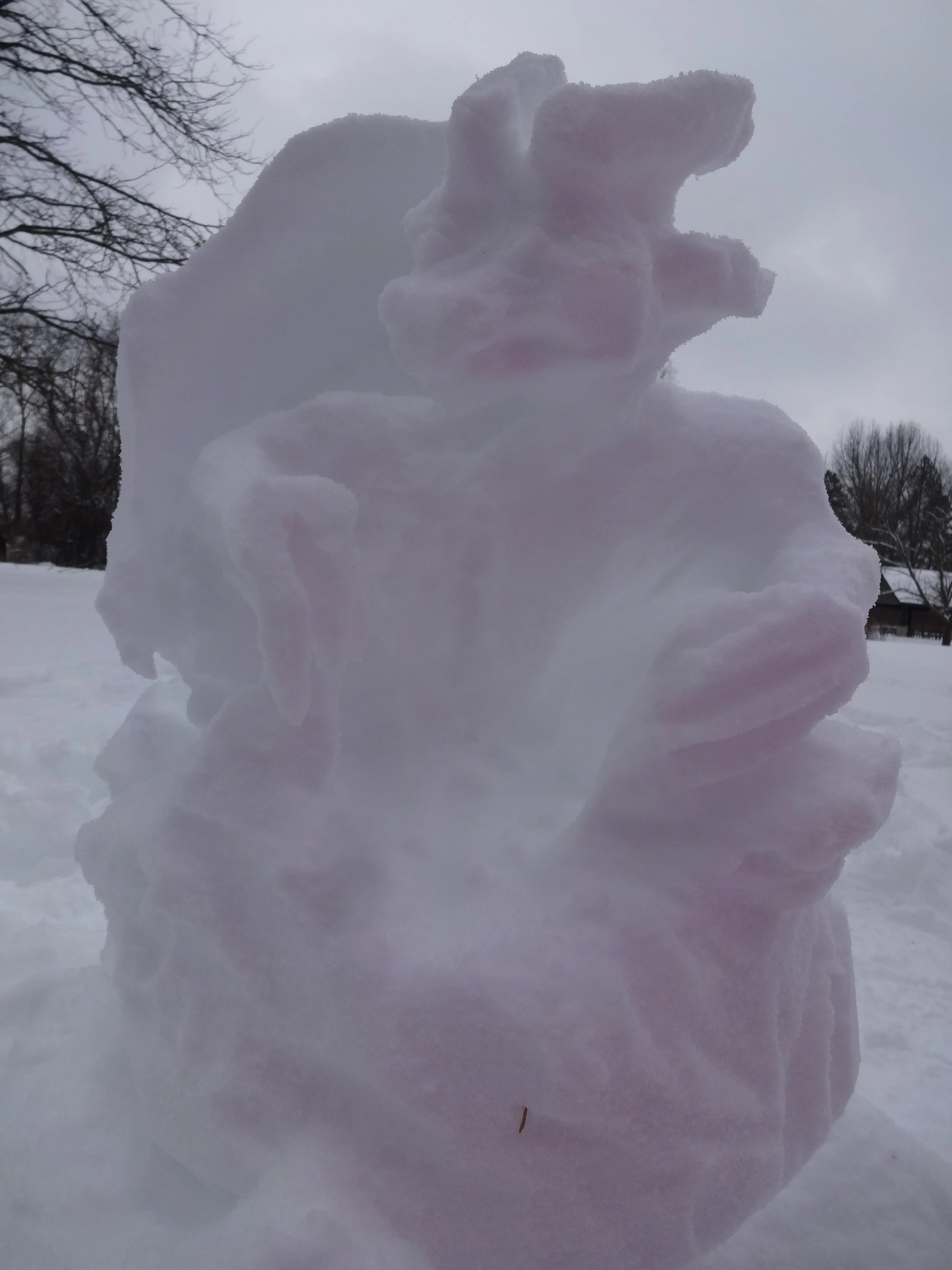 Snow Dragon