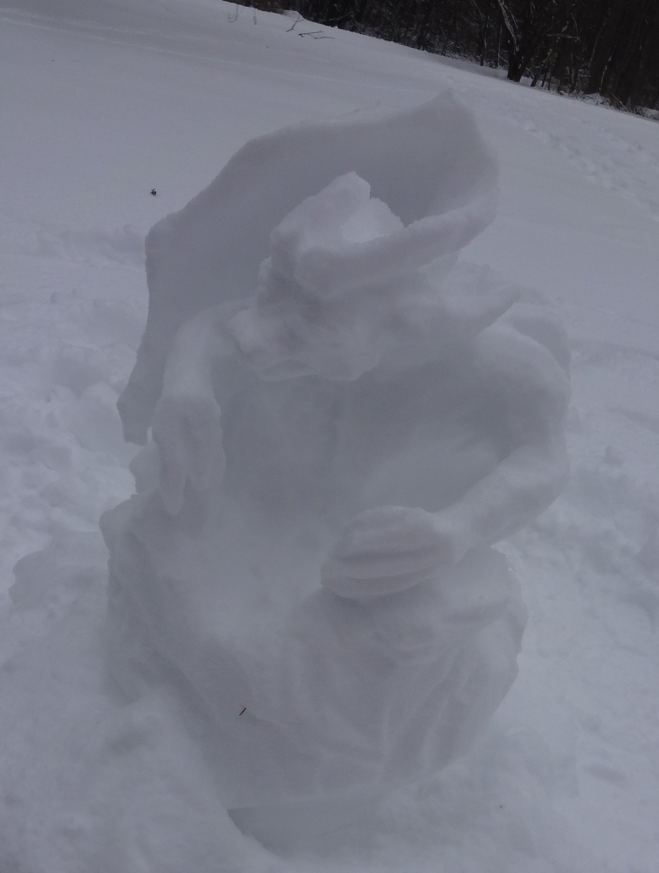 Snow Dragon