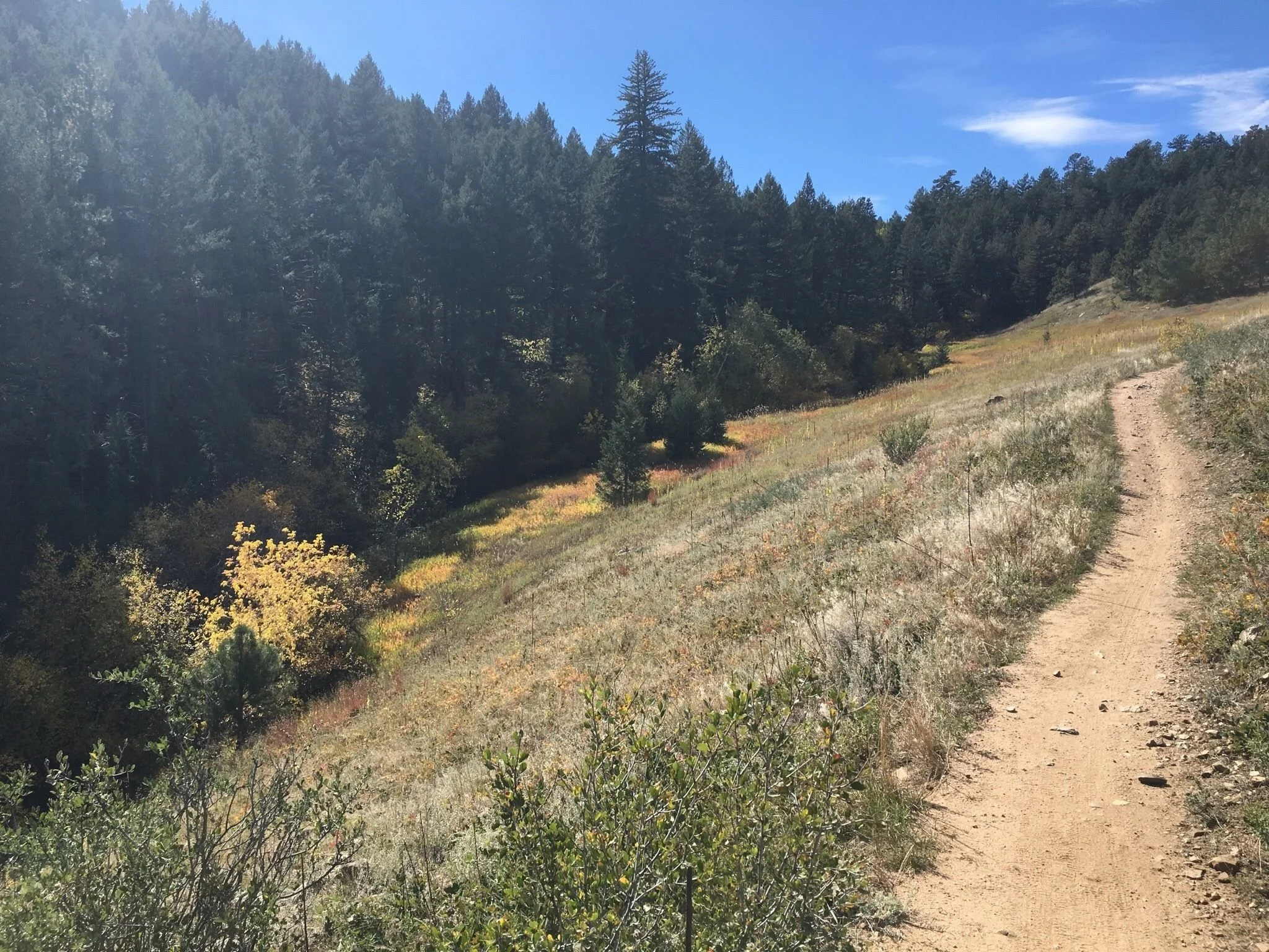 Apex Trail - Colorado Mountain Club