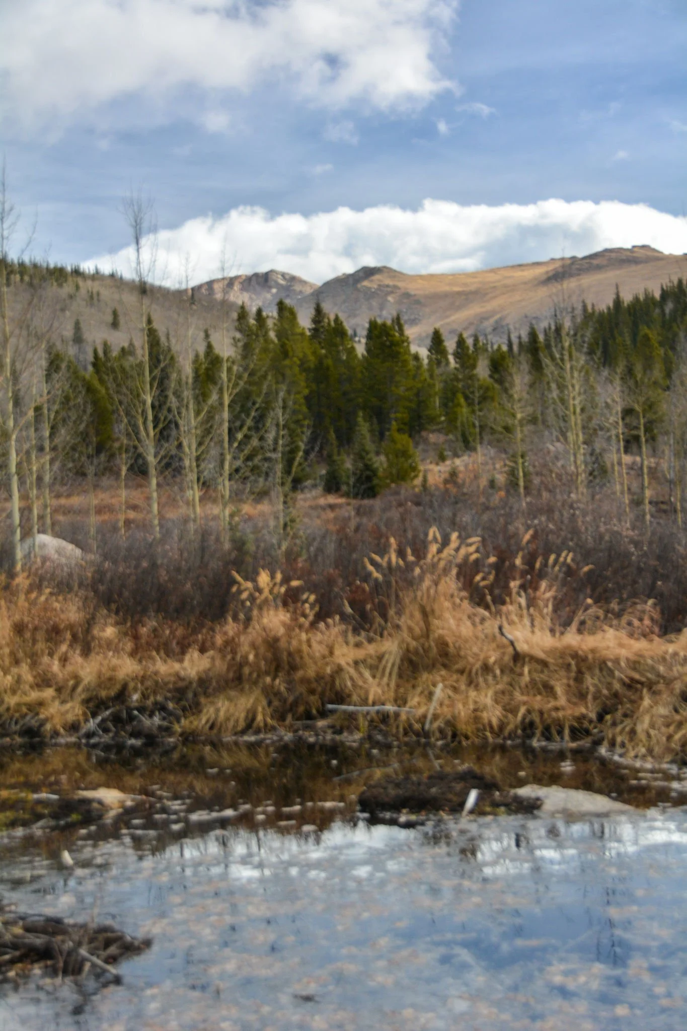 Burning Bear Peak - Colorado Mountain Club
