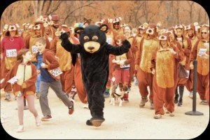 8th Annual Bear Run, Fun Run, & Walk Fundraiser - Colorado Springs