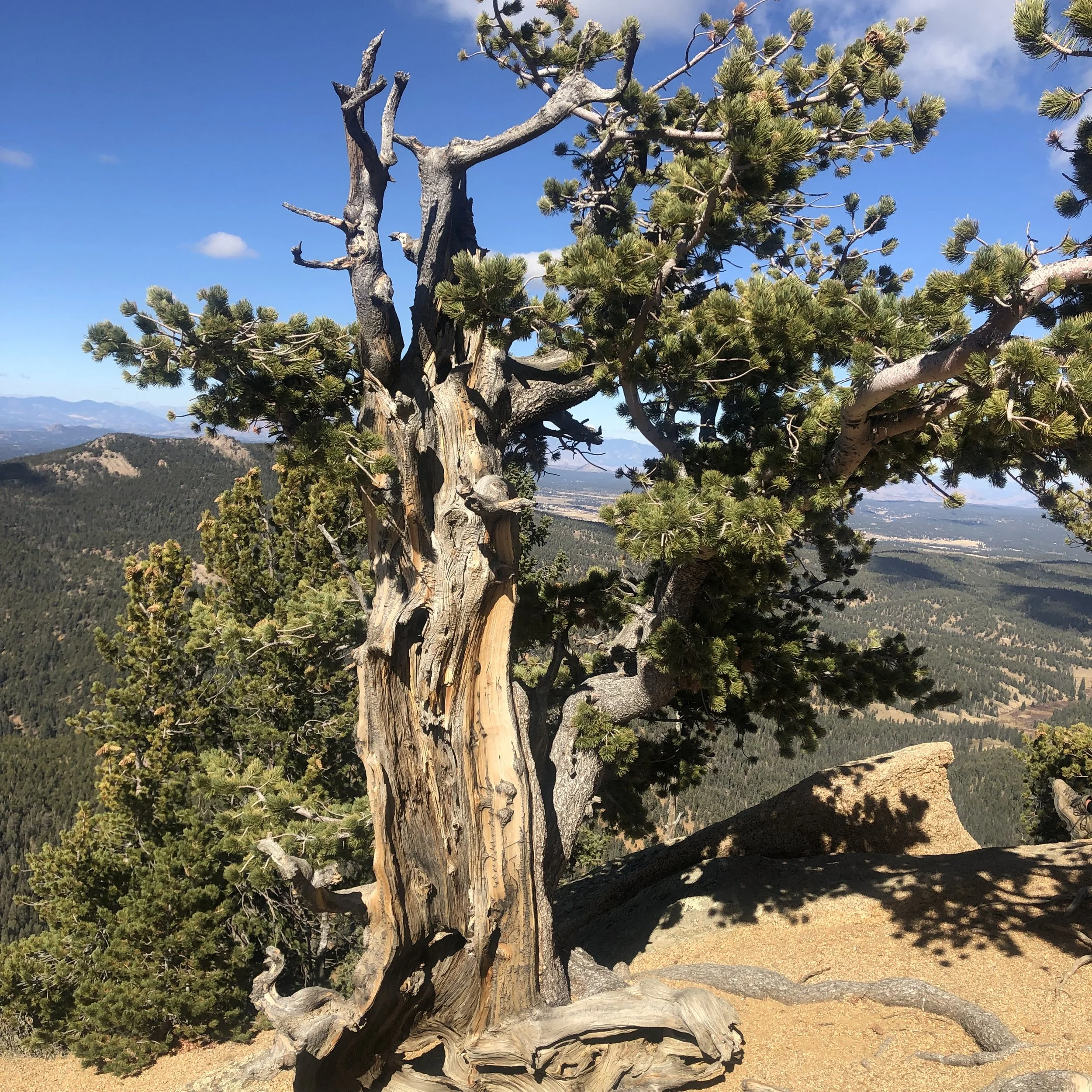 Hiking The Crags - Day Trip Series: Part 1