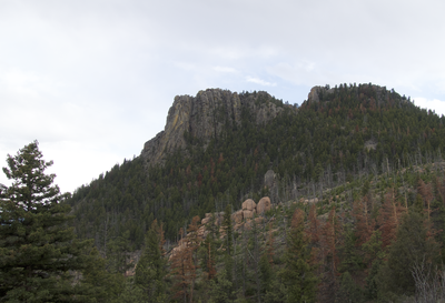 Hiking Little Scraggy Park 
