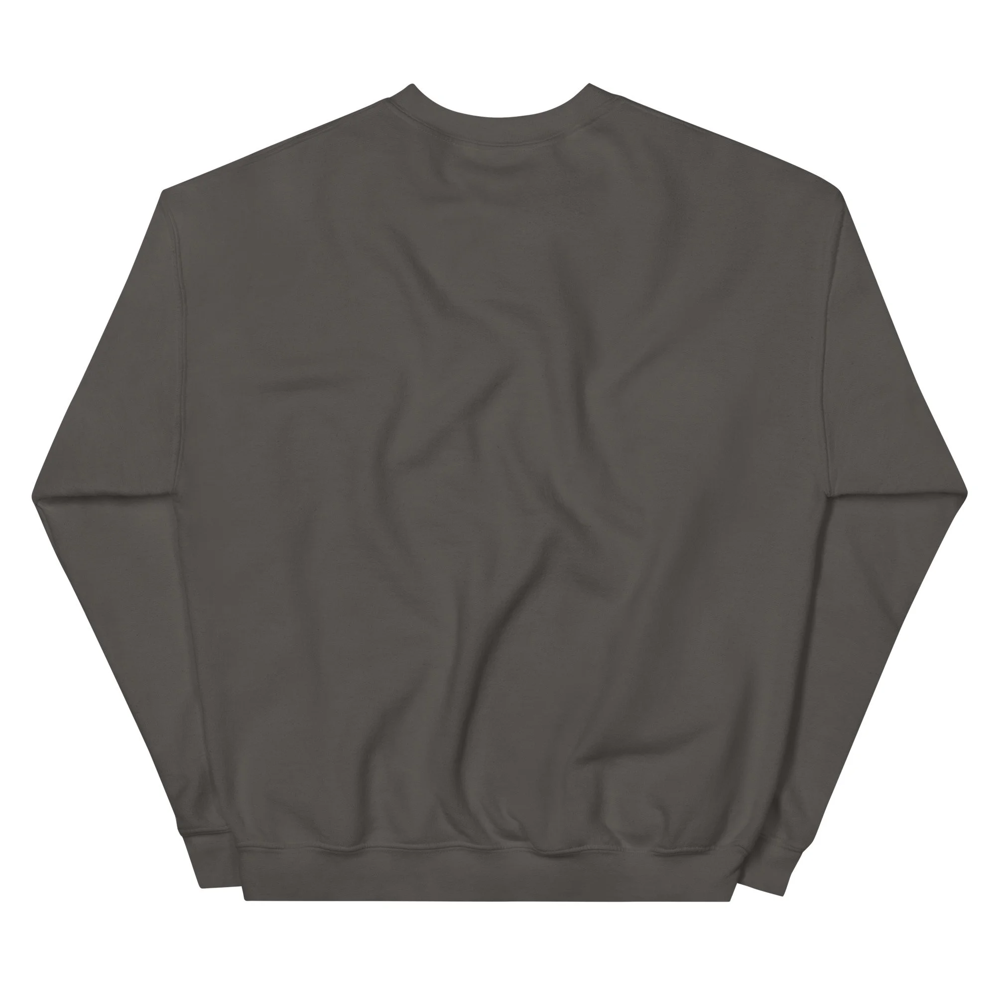 unisex-crew-neck-sweatshirt-charcoal-back-692b7ca8f35c5.jpg
