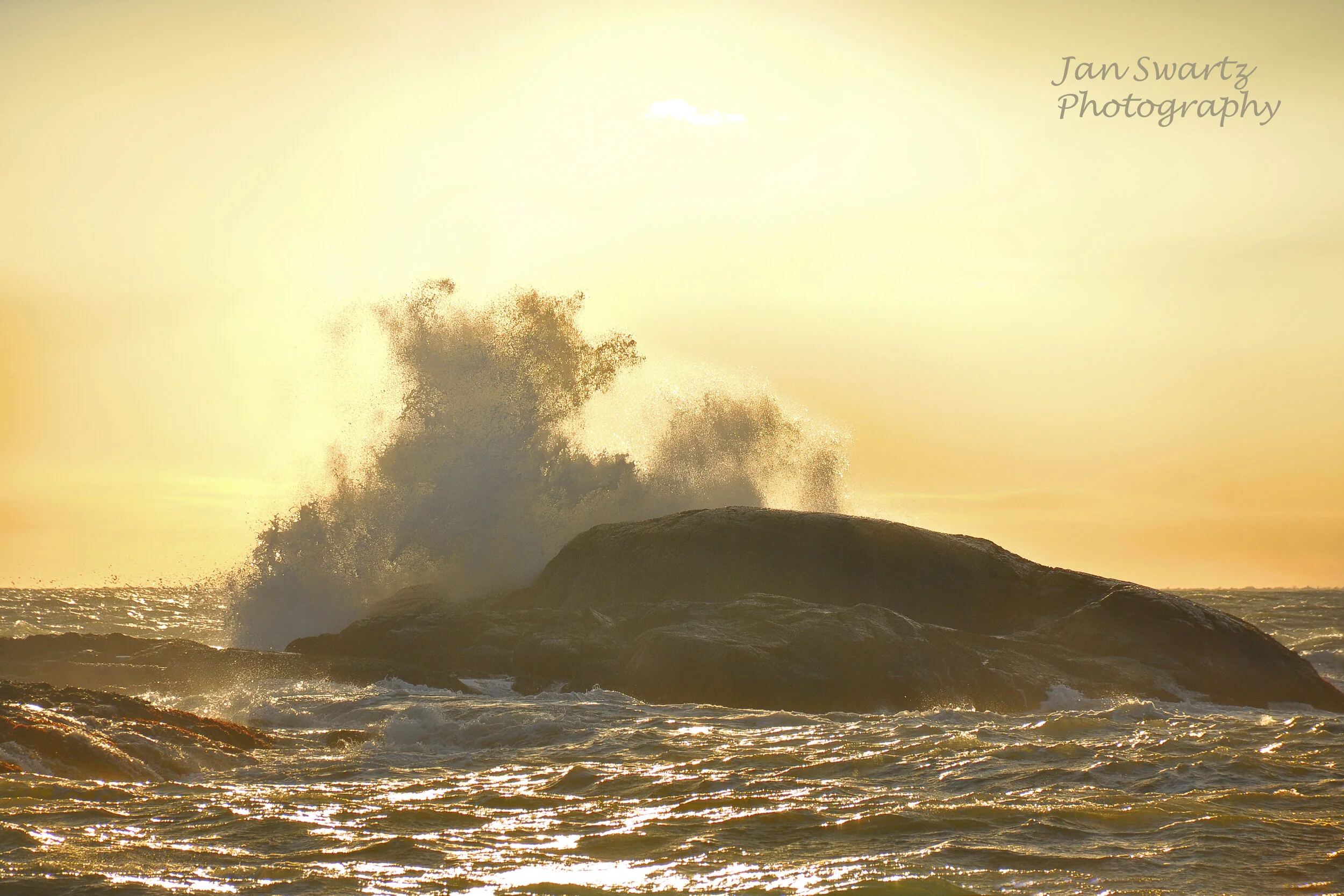DSC_0506edjsp.jpg
