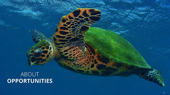 EPP Revelations _ Creative Strategy_Page_17.jpg