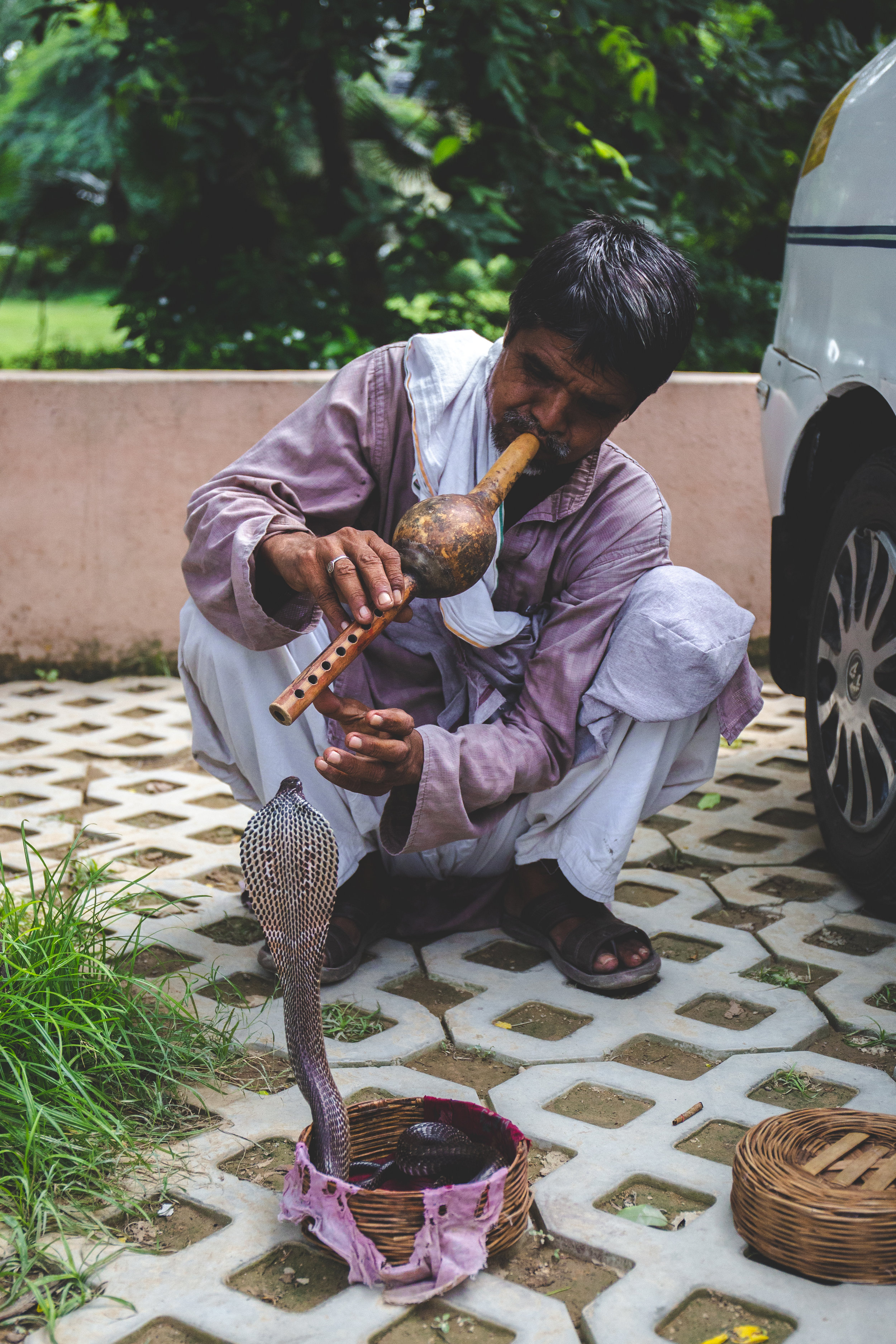 Snake charmer