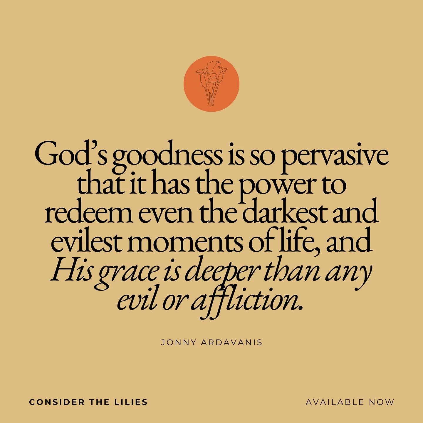 &ldquo;God&rsquo;s goodness is so pervasive that it has the power to redeem even the darkest and evilest moments of life, and His grace is deeper than any evil or affliction.&rdquo;

@jonnyardavanis 
Consider the Lilies