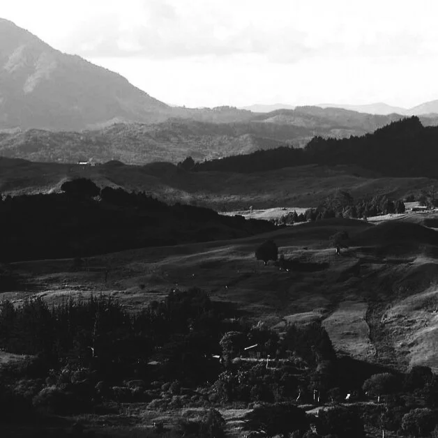 Facebook+Linkedin_Te Kōrau_post_3 Beautiful whirinaki copy.jpg