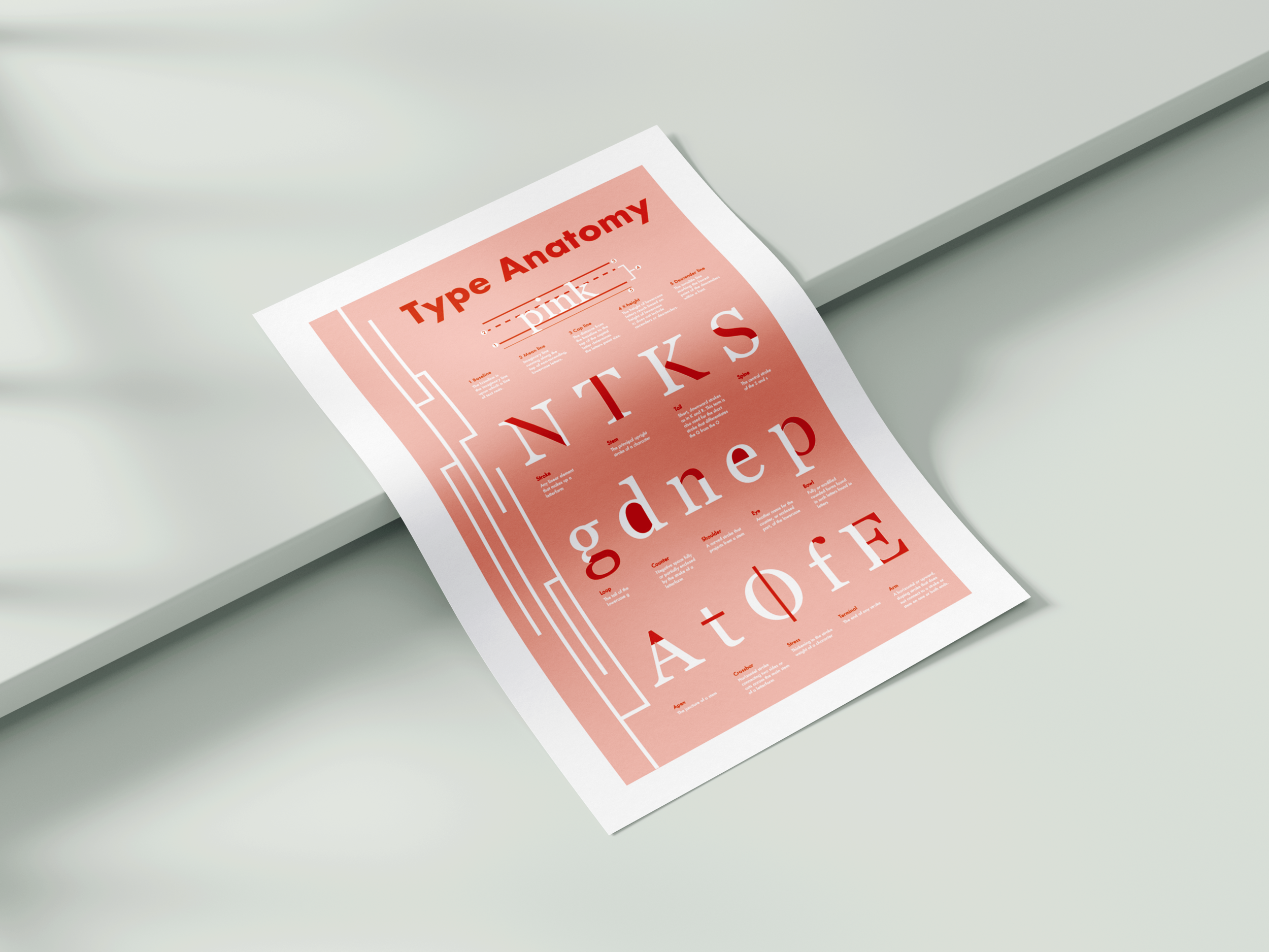 A4-Curved-Paper.png