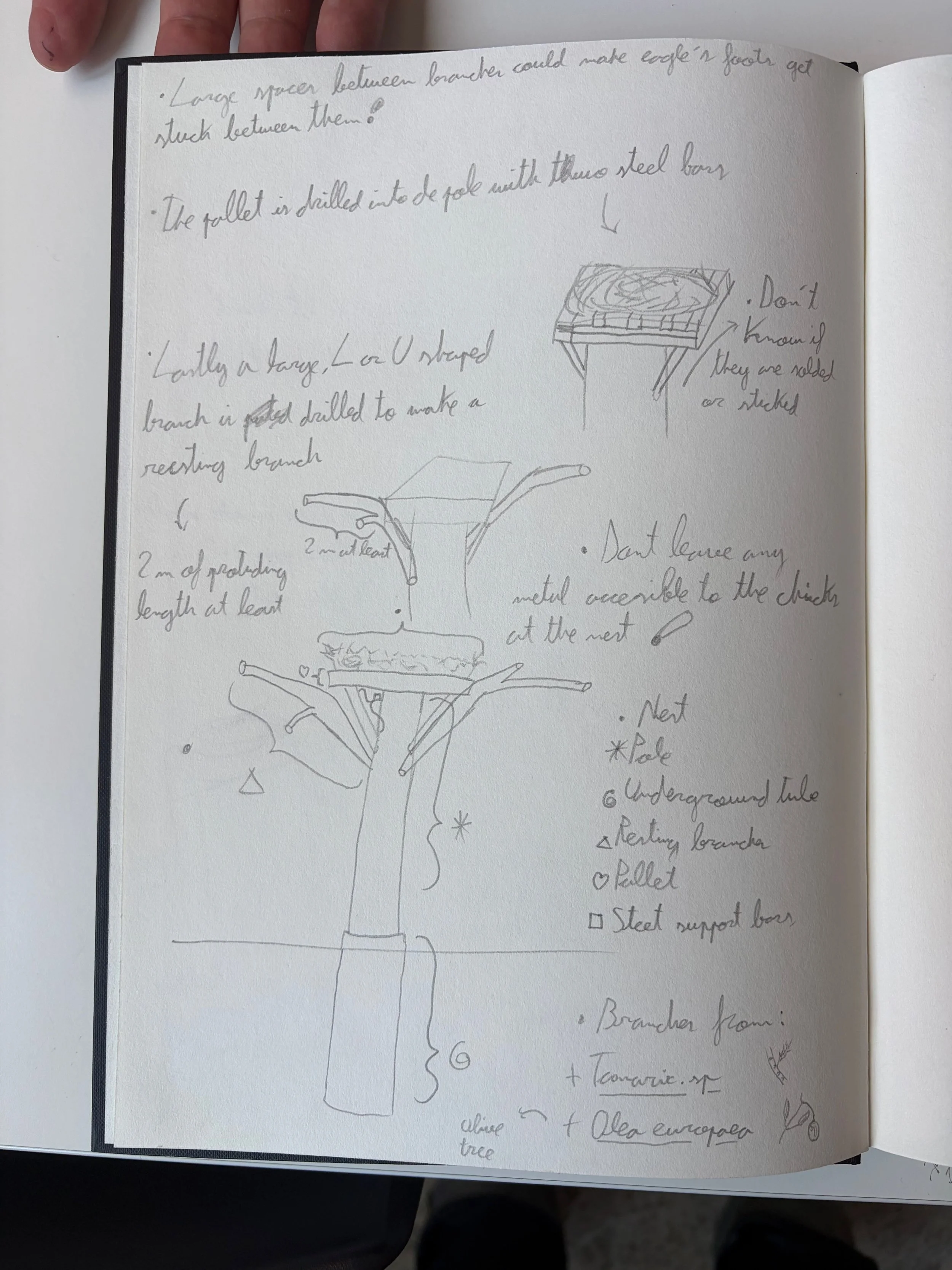  Erik’s drawing is scanned and rendered as a D shape, ready for animation. The digital model carries some of the distortions of the encoding process, but this translation can be a prompt for further discussion. 