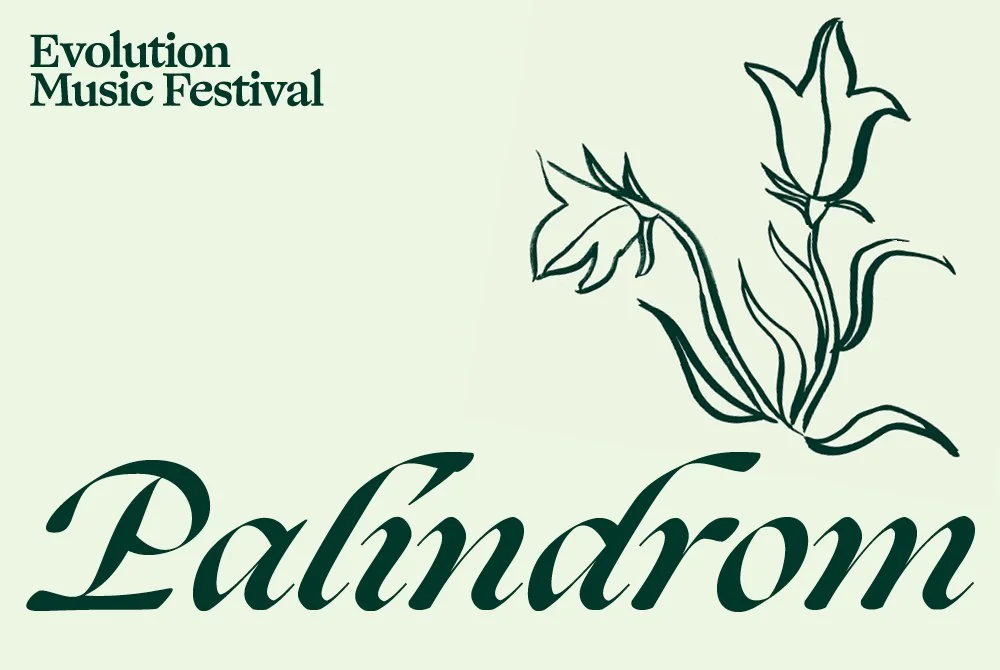 Evolution Music Festival 2026: Palindrom
