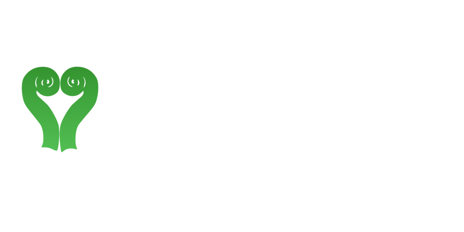 Skallsjö Sommarorkester