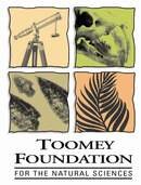 Toomey Foundation