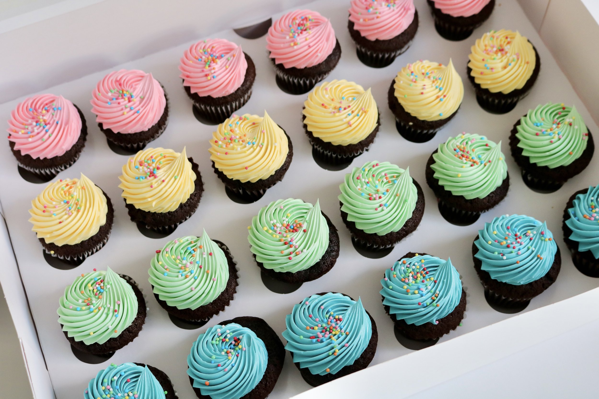 mini cupcakes box with vanilla, chocolate flavour and sprinkles.