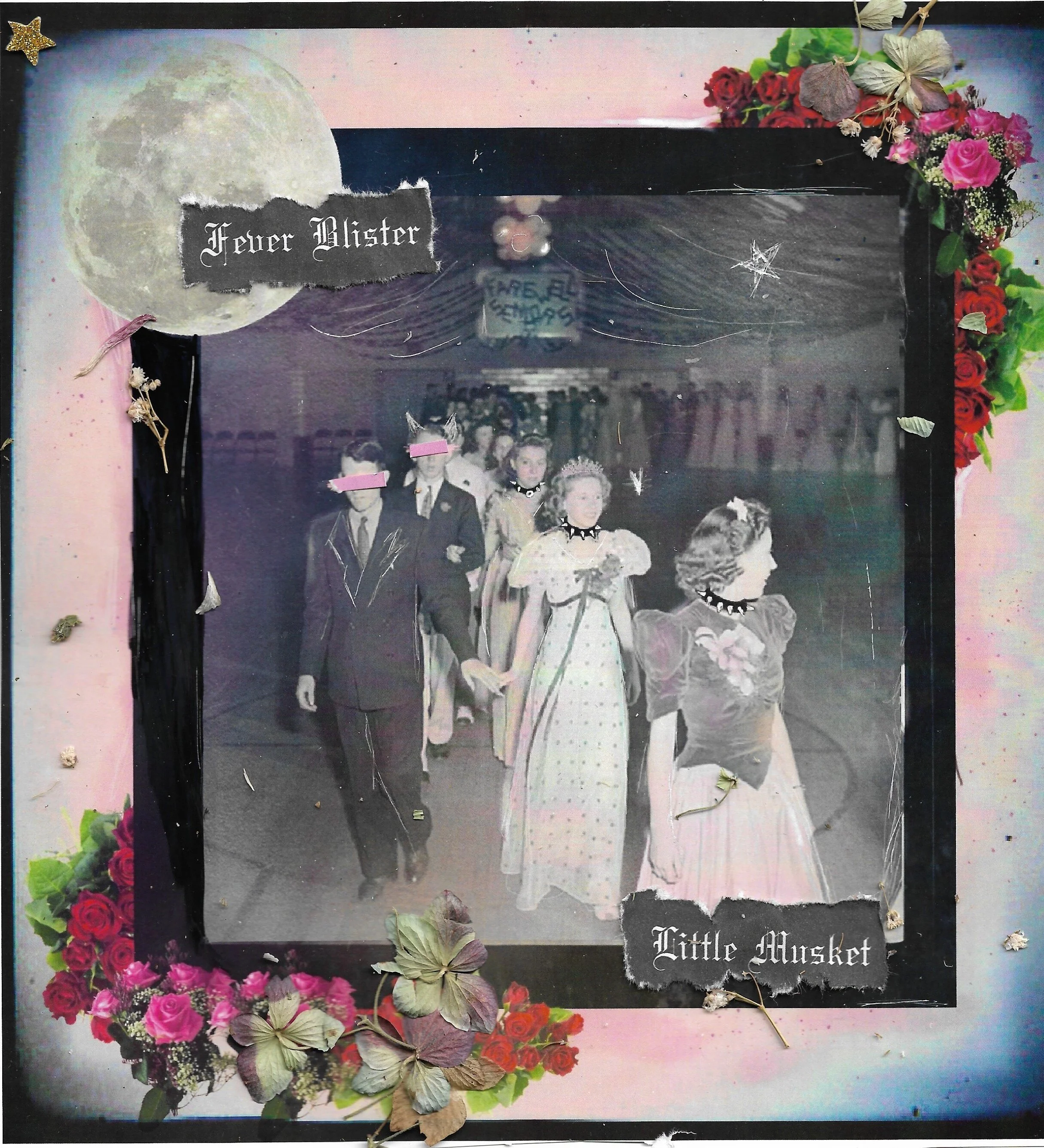 Little Musket "Fever Blister"