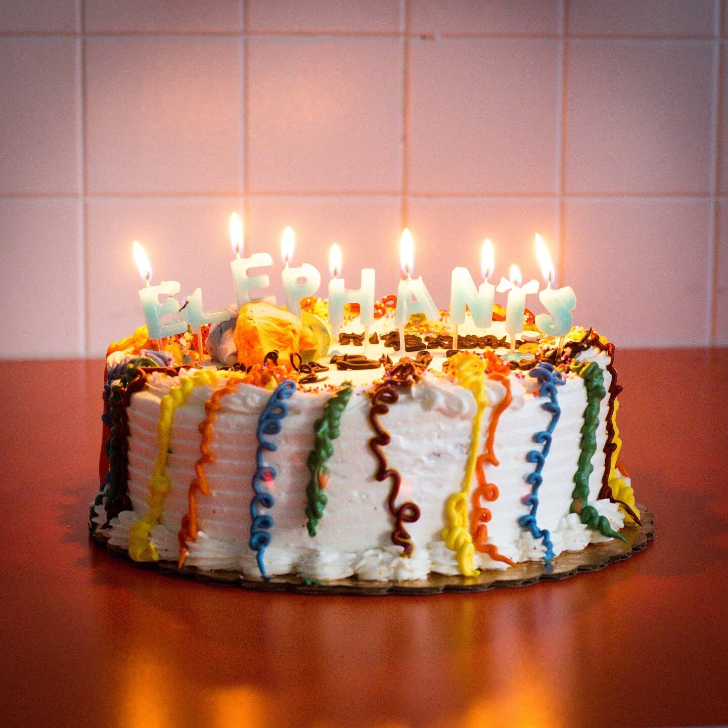 Elephants "Birthday"