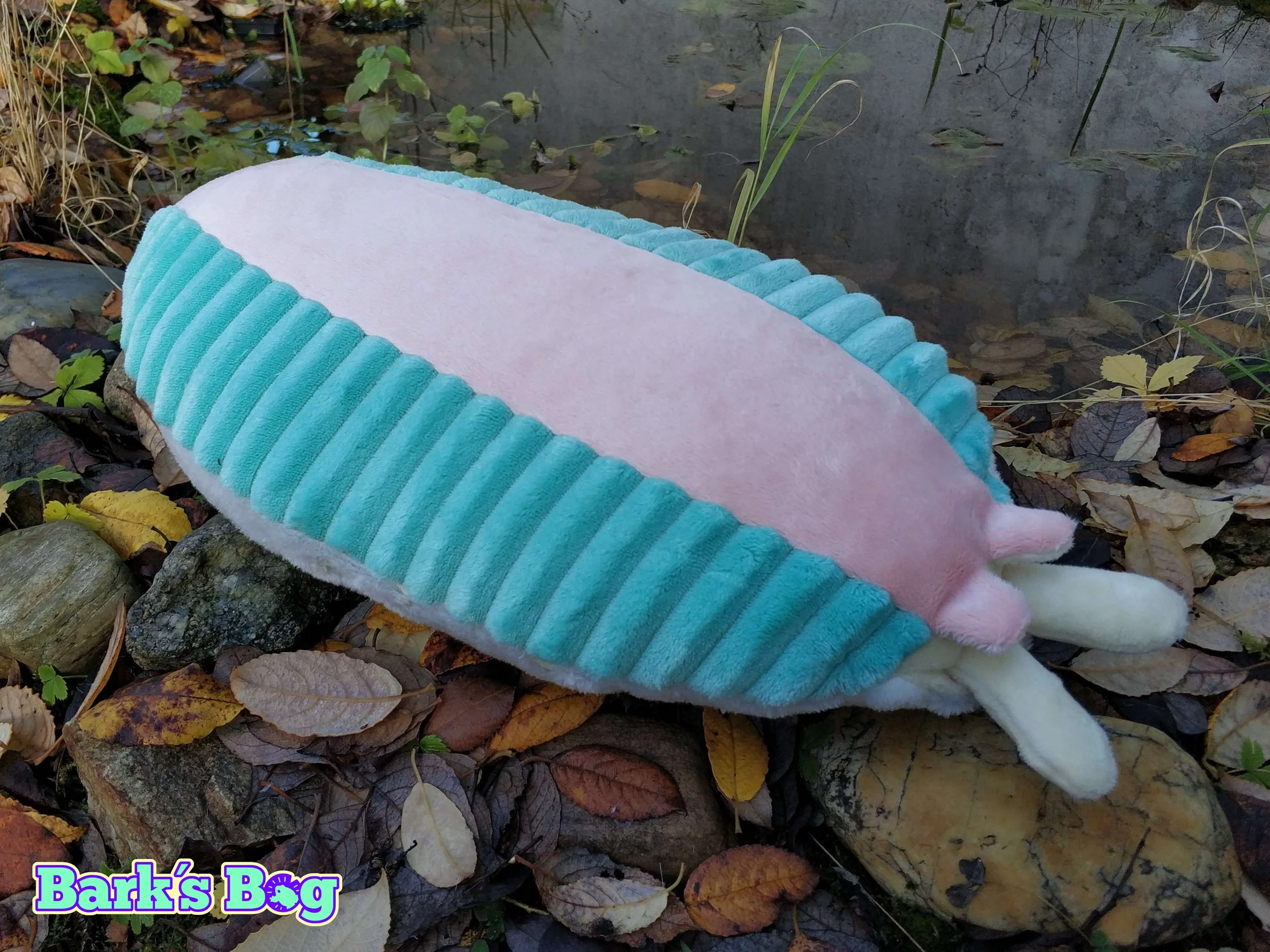 banana-slug-bark-s-bog