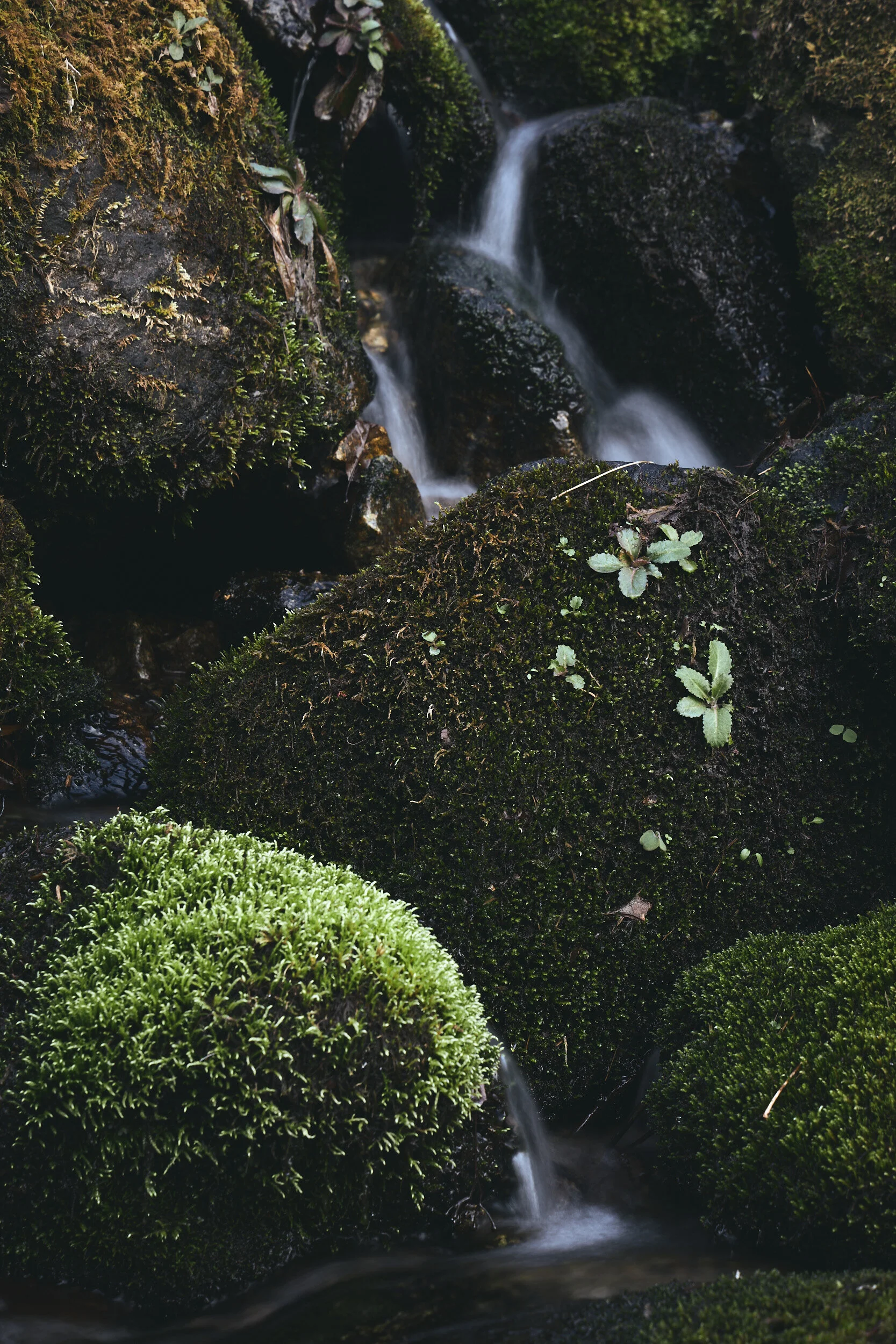 sqspc-20201105-0033.jpg