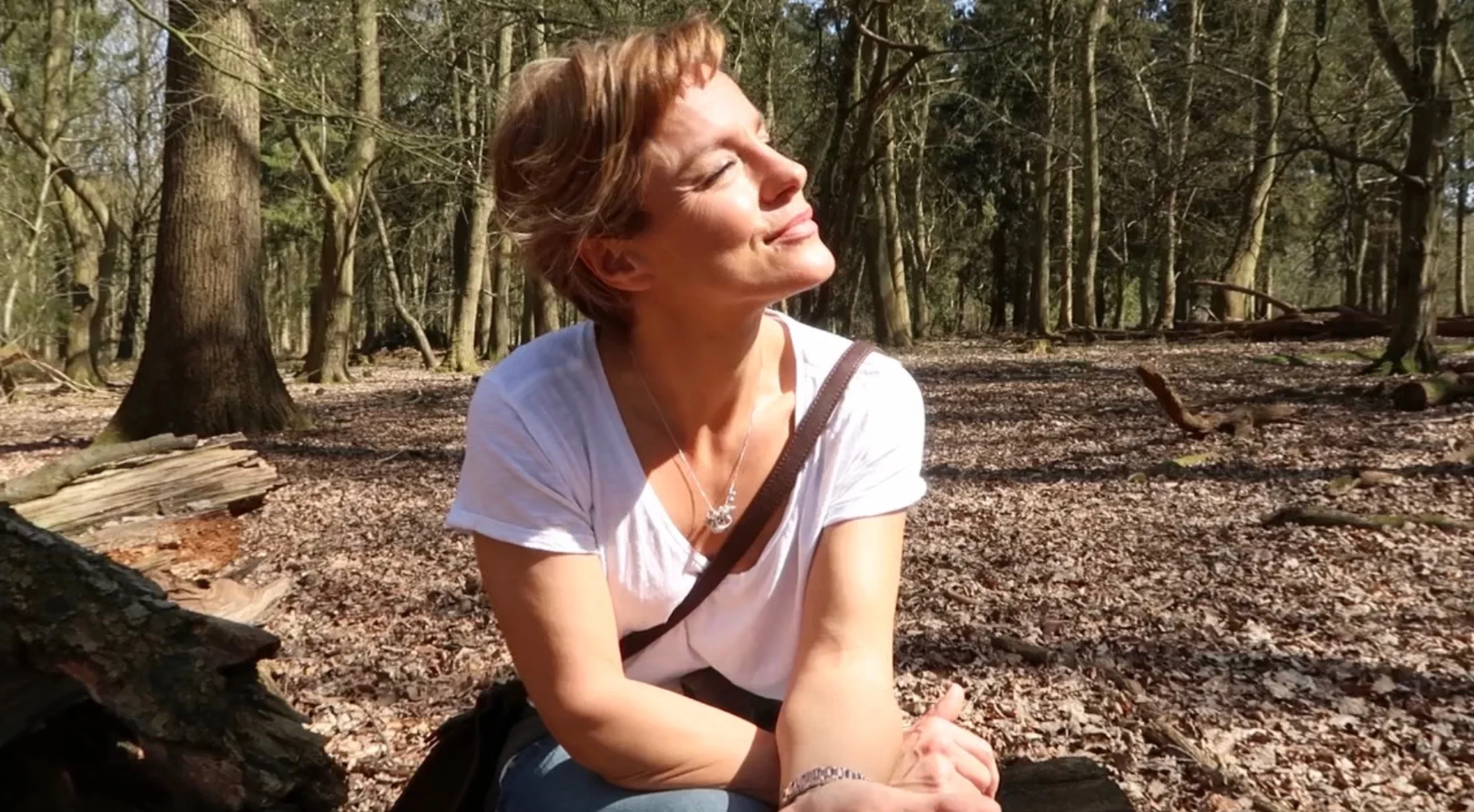 Thoughts on Meditation and the healing power of nature!
