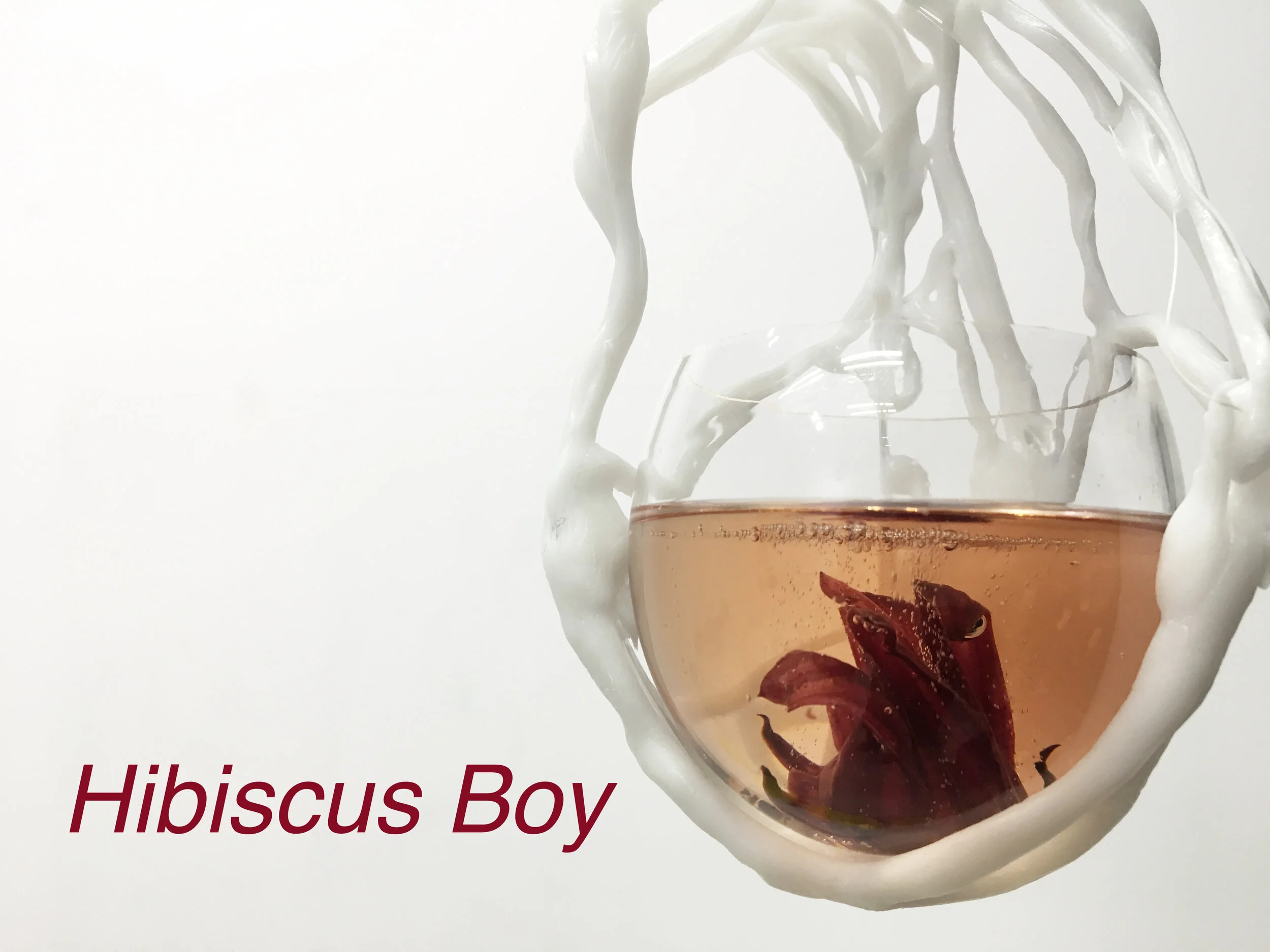 HIBISCIUS BOY.jpg