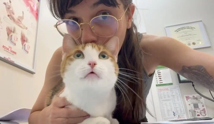 It&rsquo;s been ONE YEAR since Louise was rescued&hellip; and she&rsquo;s still waiting for her forever person! 

Today she&rsquo;s at @parkslopevet with her foster @brooklynkittycommittee for a checkup and vaccines &mdash; and in a few weeks, she&rs