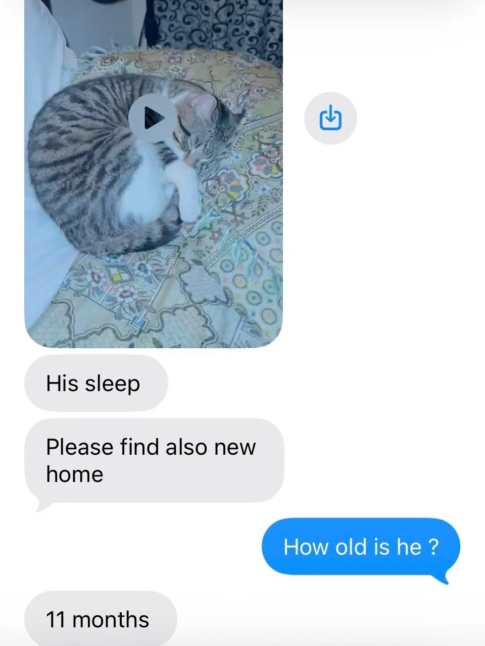It started with a ride in an Uber. I got into the car with a cat in a carrier, which led to a conversation with the driver, which led to him asking for help to neuter his cat&hellip; which turned into a request to rehome him.

His family had lost int