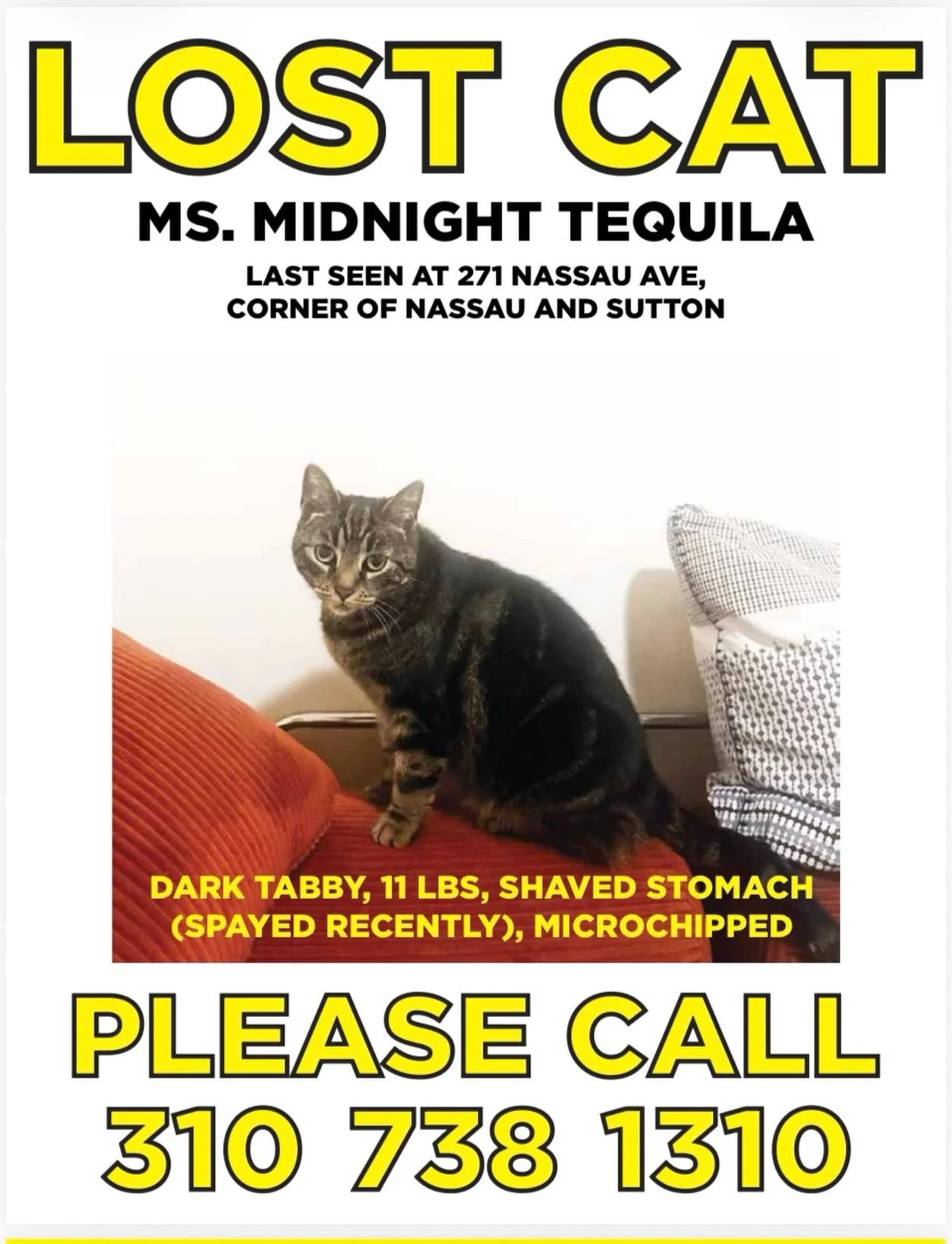 🚨LOST CAT IN GREENPOINT🚨 Last seen on Nassau &amp; Sutton on 5/20. Friendly but probably scared so please don&rsquo;t chase. Call or text 310-738-1310 if spotted. You can also DM or email us. PLEASE SHARE!