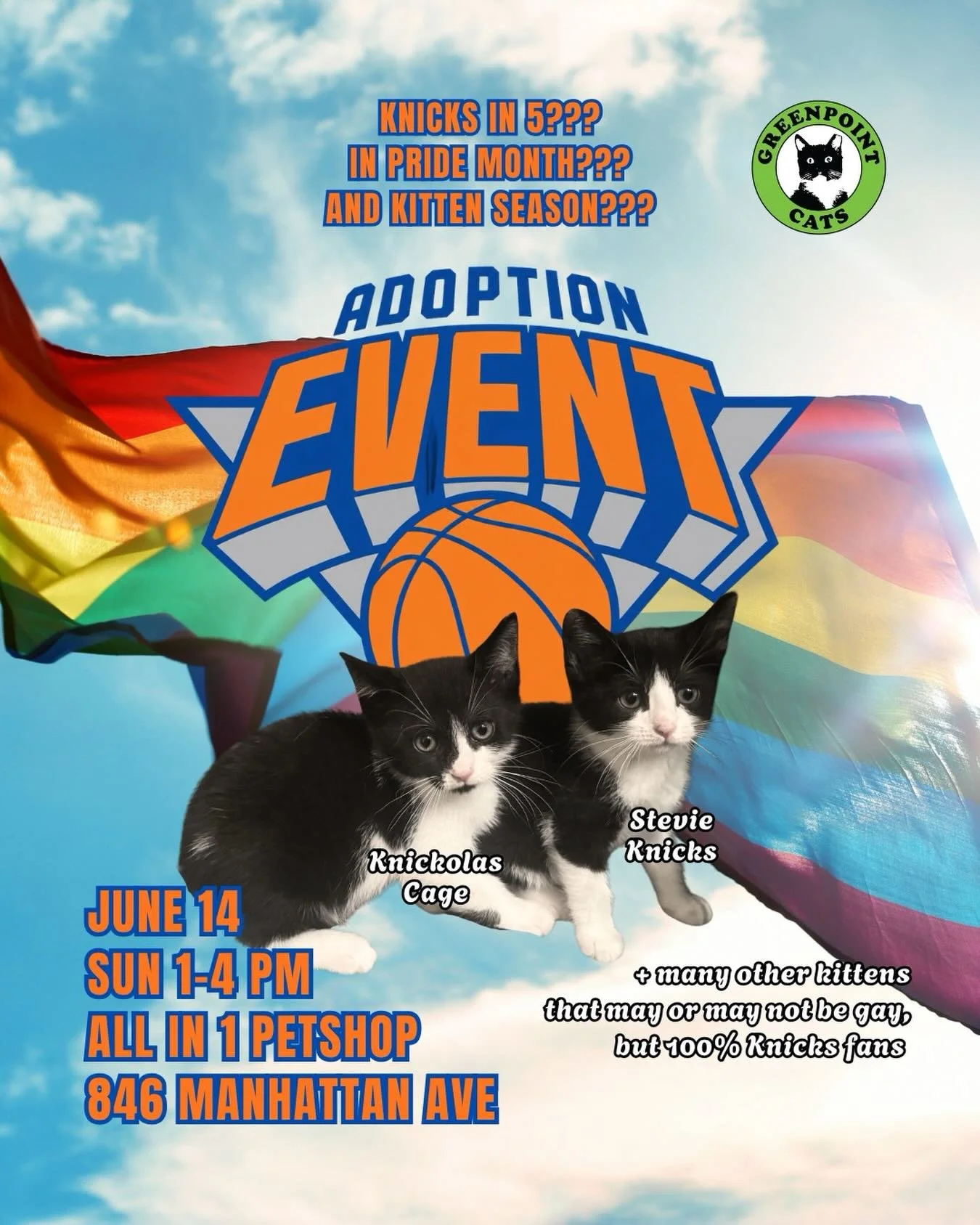 ADOPTION EVENT THIS SUNDAY 6/14 FROM 1-4PM at @allin1petshop IN GREENPOINT!

BE THERE 🏳️&zwj;🌈🏀😺🫶

*if Knicks do not win in 5, you should still come to adopt your consolation cat or kittens. #knicksin6 ?