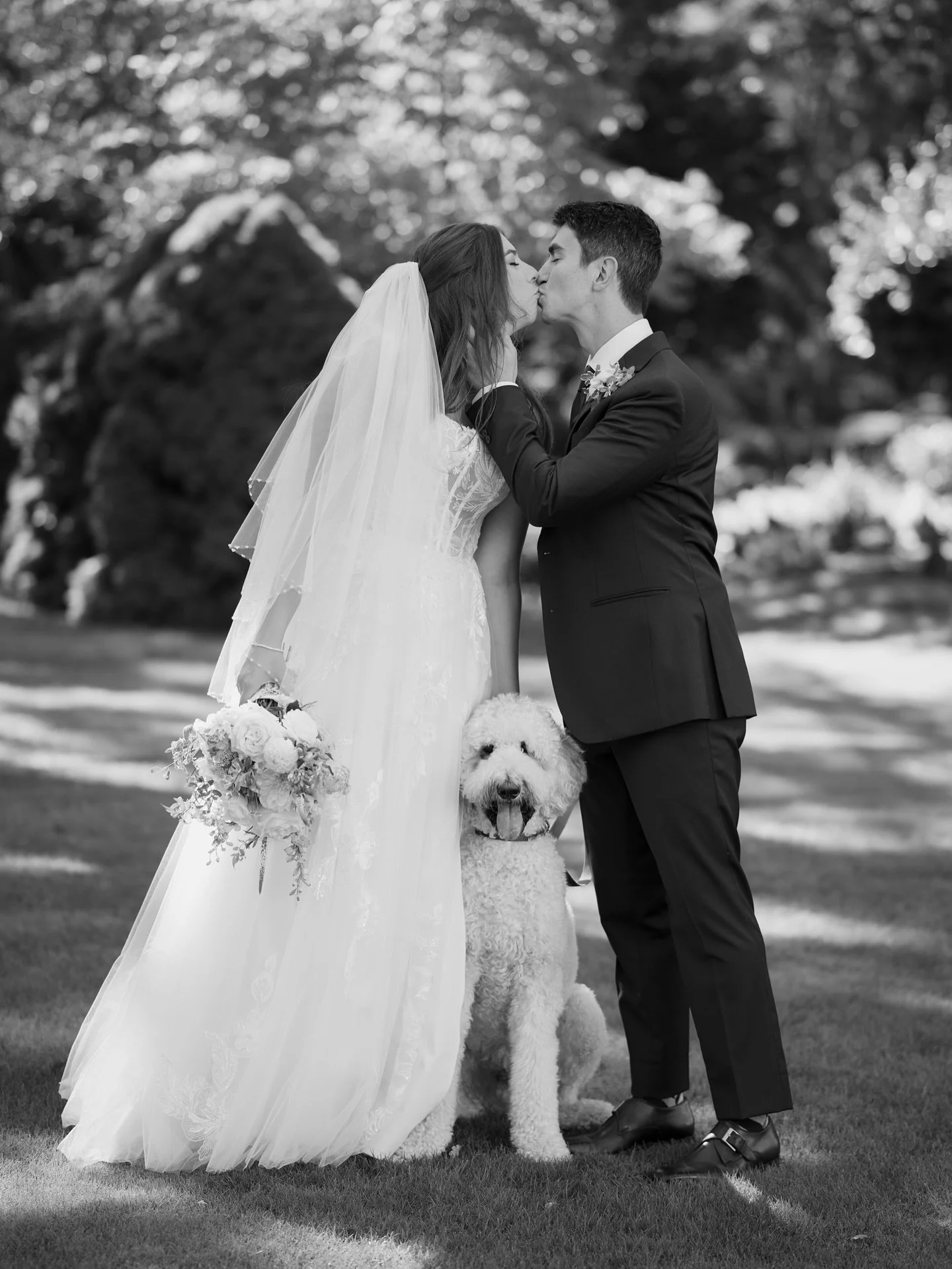 So much to share from Alissa &amp; Colby&rsquo;s gorgeous wedding last weekend. But I have to start with Marco-because let&rsquo;s be real, he was the real MVP. 🐶

Photographer | @tilldeathdoweadventure
Coordinator | @thetravelingplannerevents 
Venu
