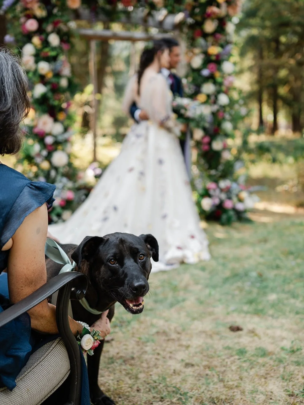 Happy National Dog Day!🐶

Just some of the wedding dogs that I have photographed over the years. I absolutely love it when my couples can have their dogs by their side&hellip;and when they can&rsquo;t, they get creative with cardboard cutouts.🤣

#n