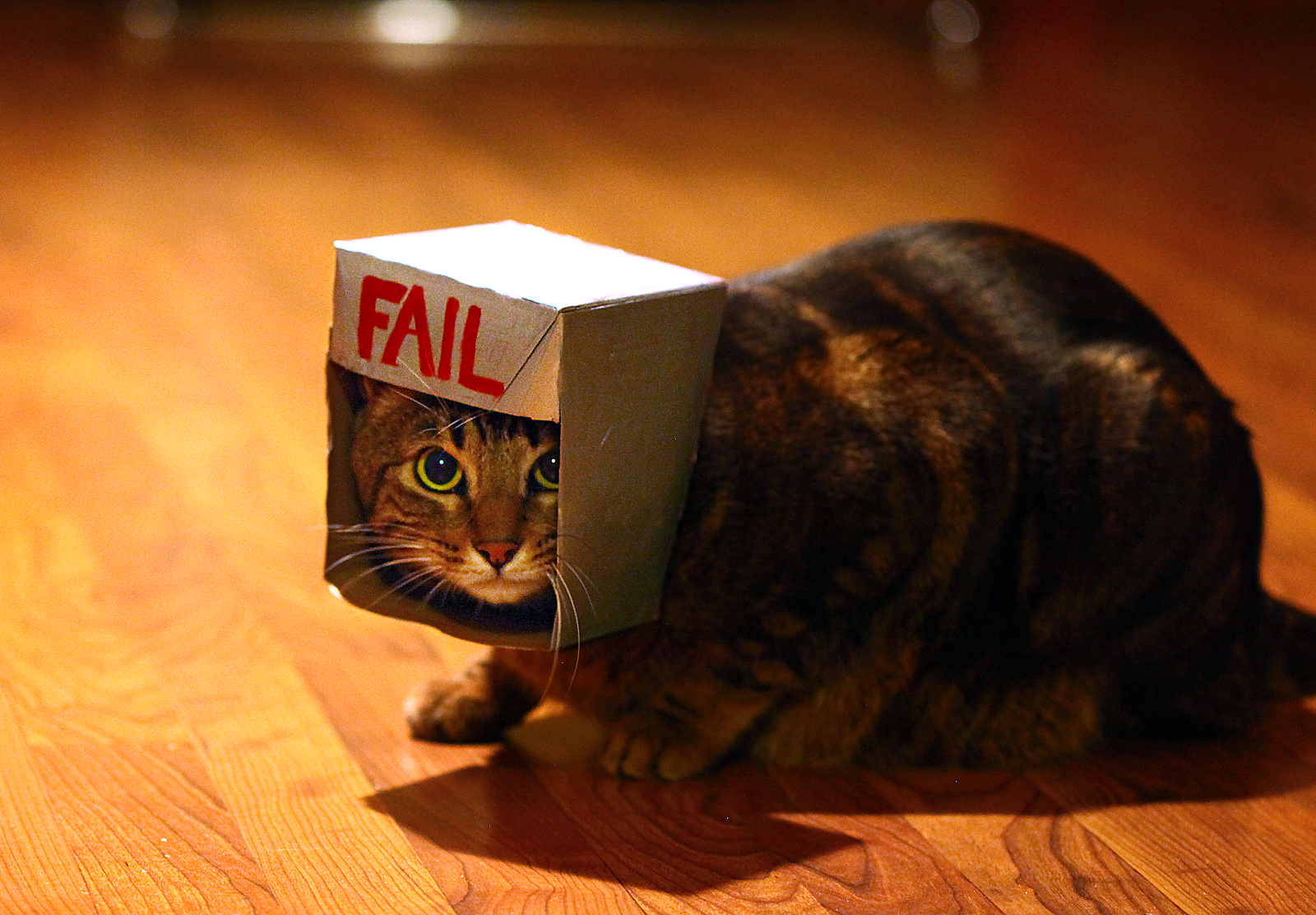 How my Prototype’s failure created the next Iteration