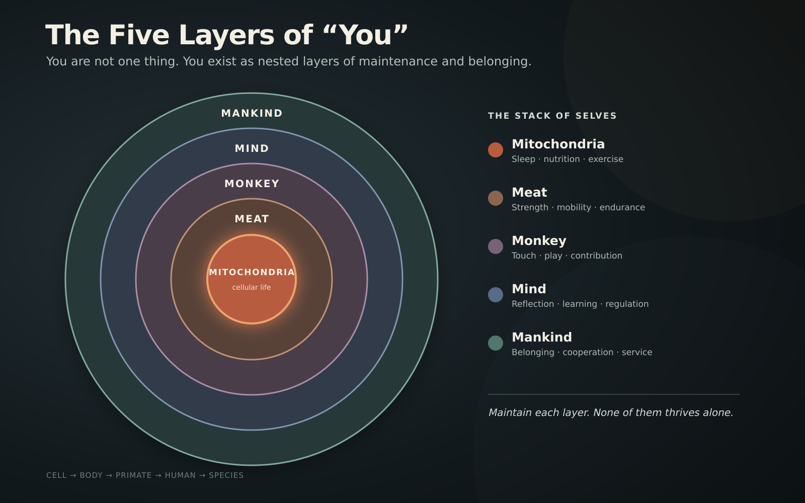 “You” Are Five Layers. You Must Maintain Them All.