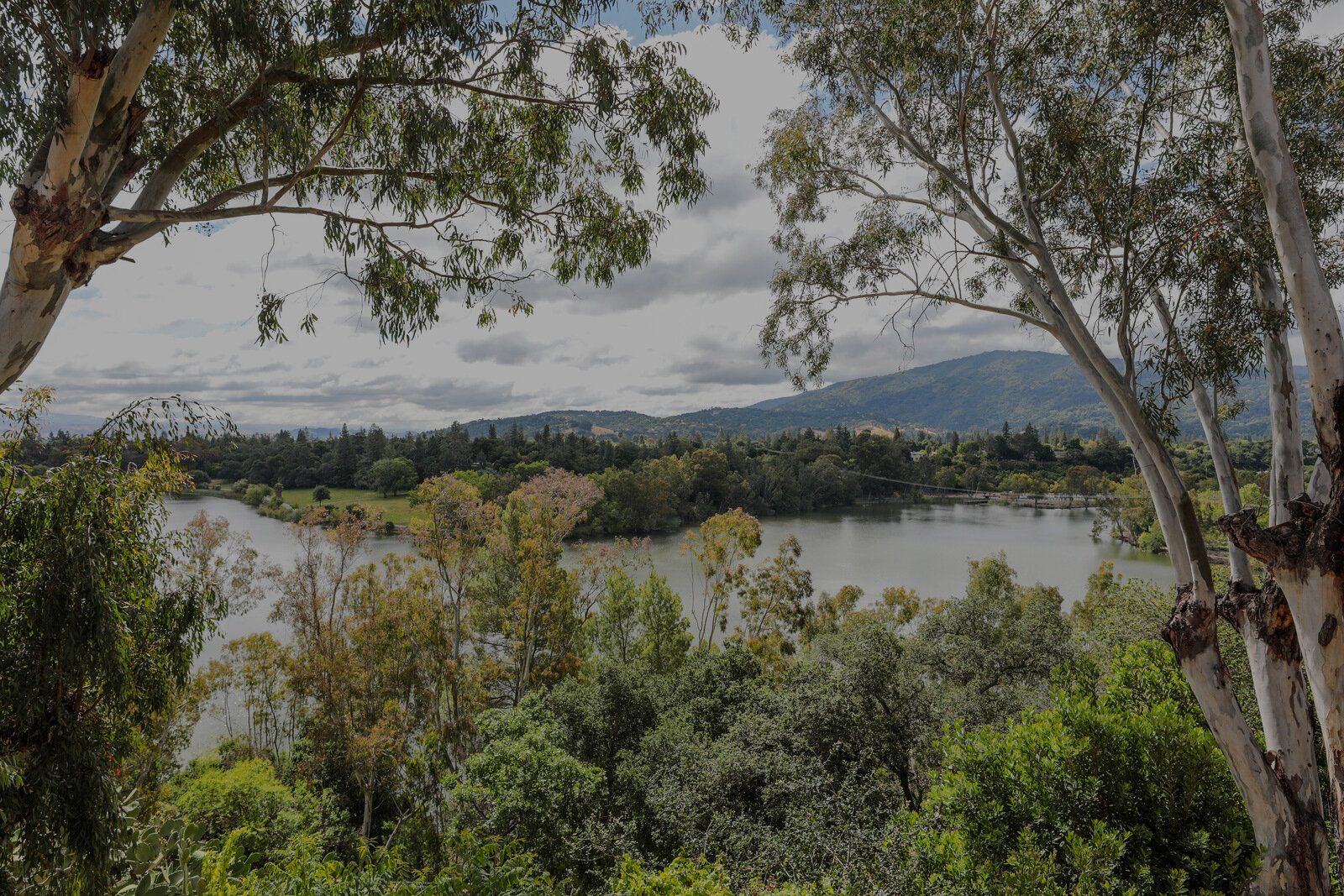 Vasona Lake copy.jpg