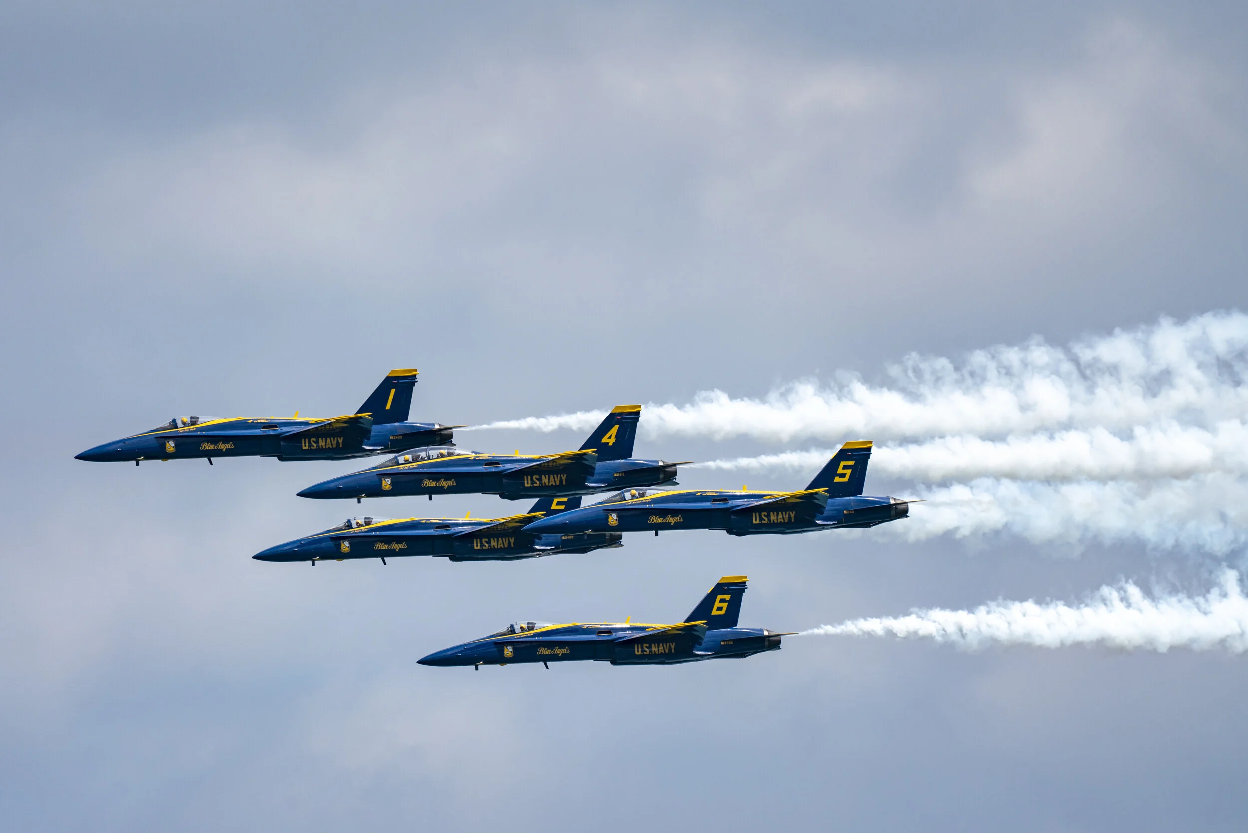 _DSC2547.jpg