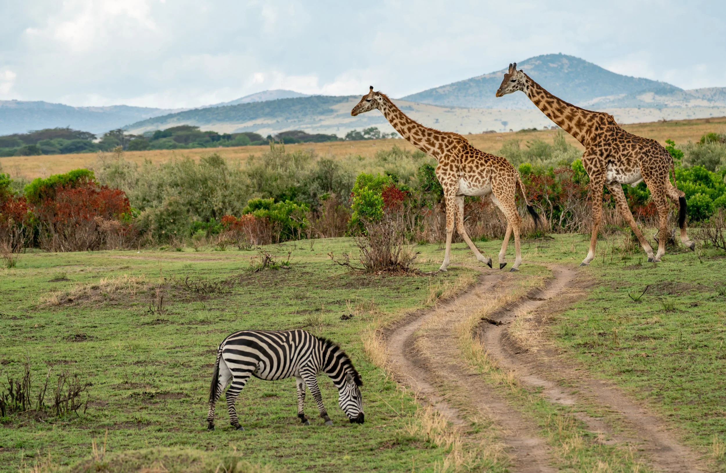 James Parren-08565-2.JPG