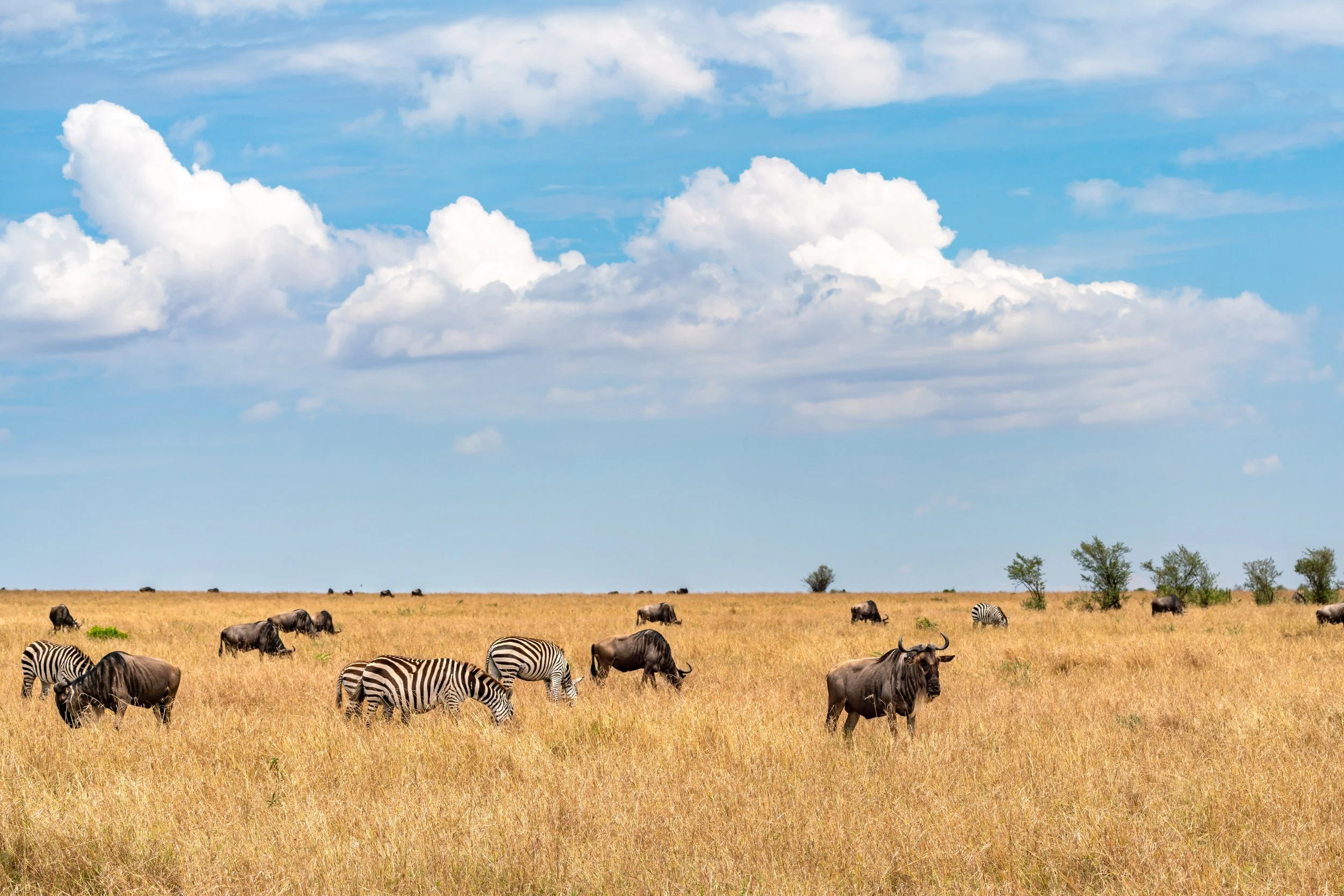 James Parren-08390-2.JPG