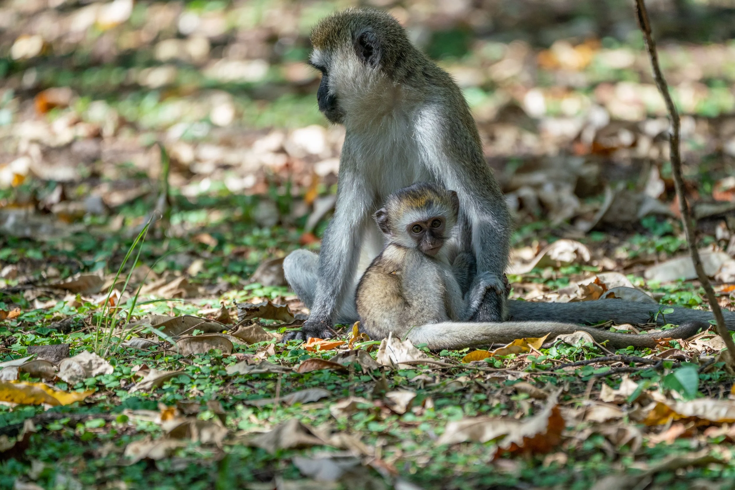 James Parren-08750-2JPG.JPG