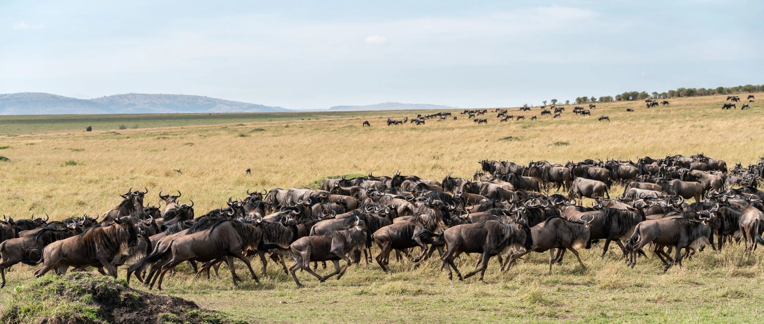 James Parren-09097-2.JPG