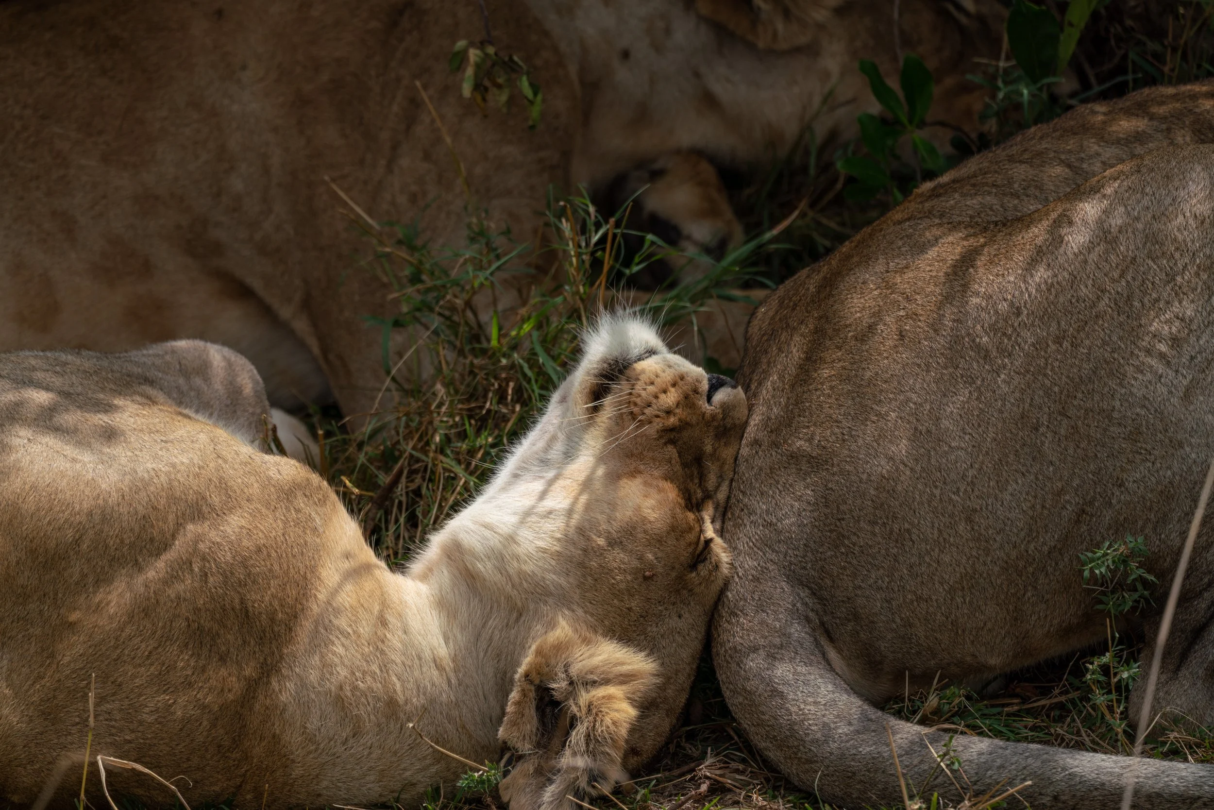 James Parren-08462-2.JPG