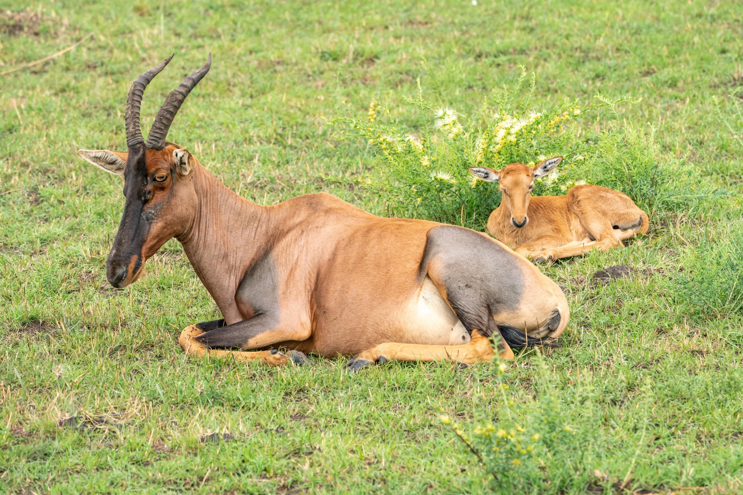 James Parren-08350-2.JPG