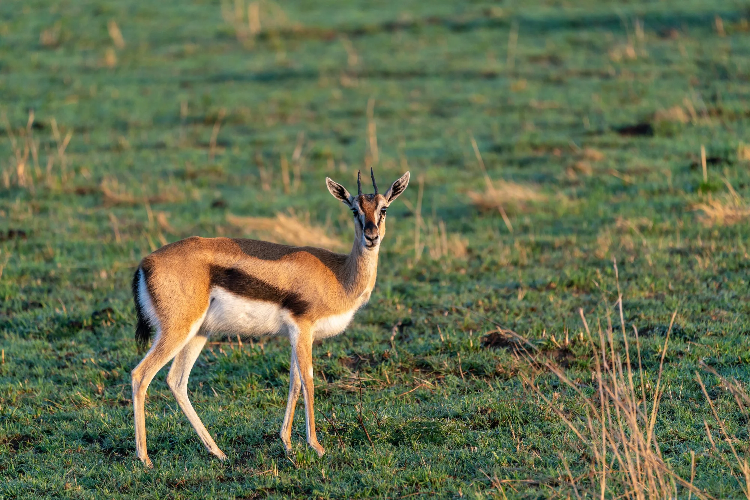 James Parren-08673-2.JPG