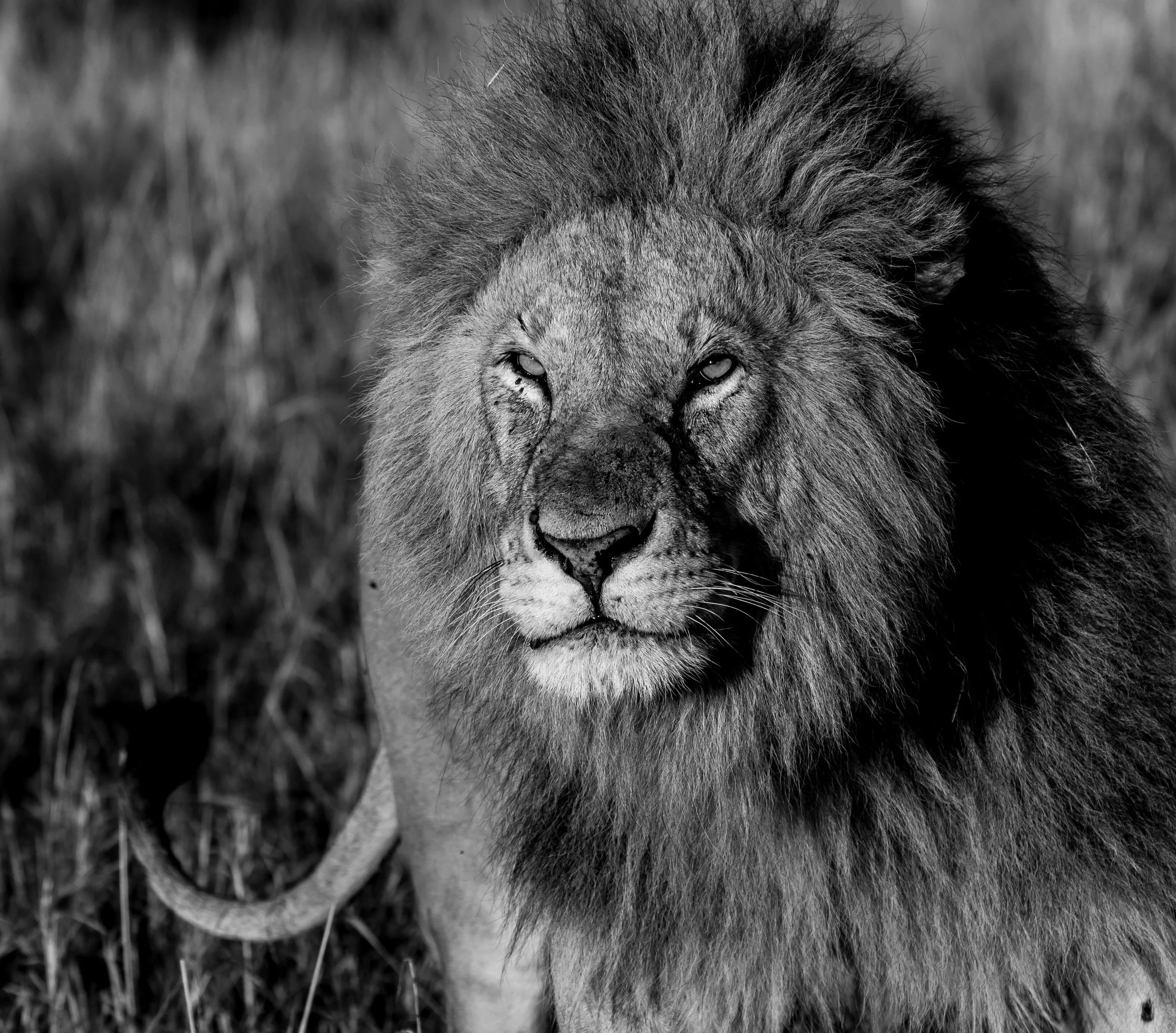 James Parren-08718-2.JPG