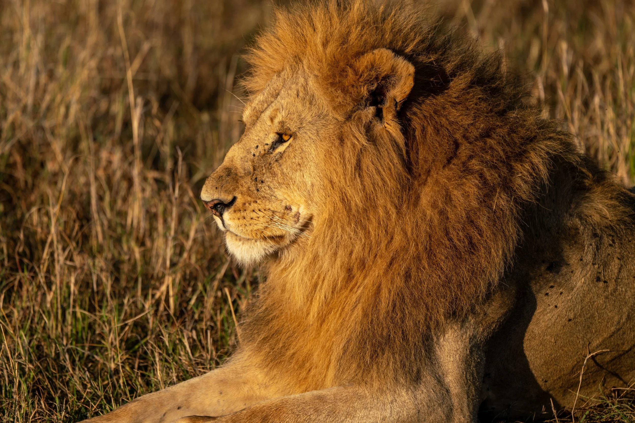 James Parren-08725-2.JPG