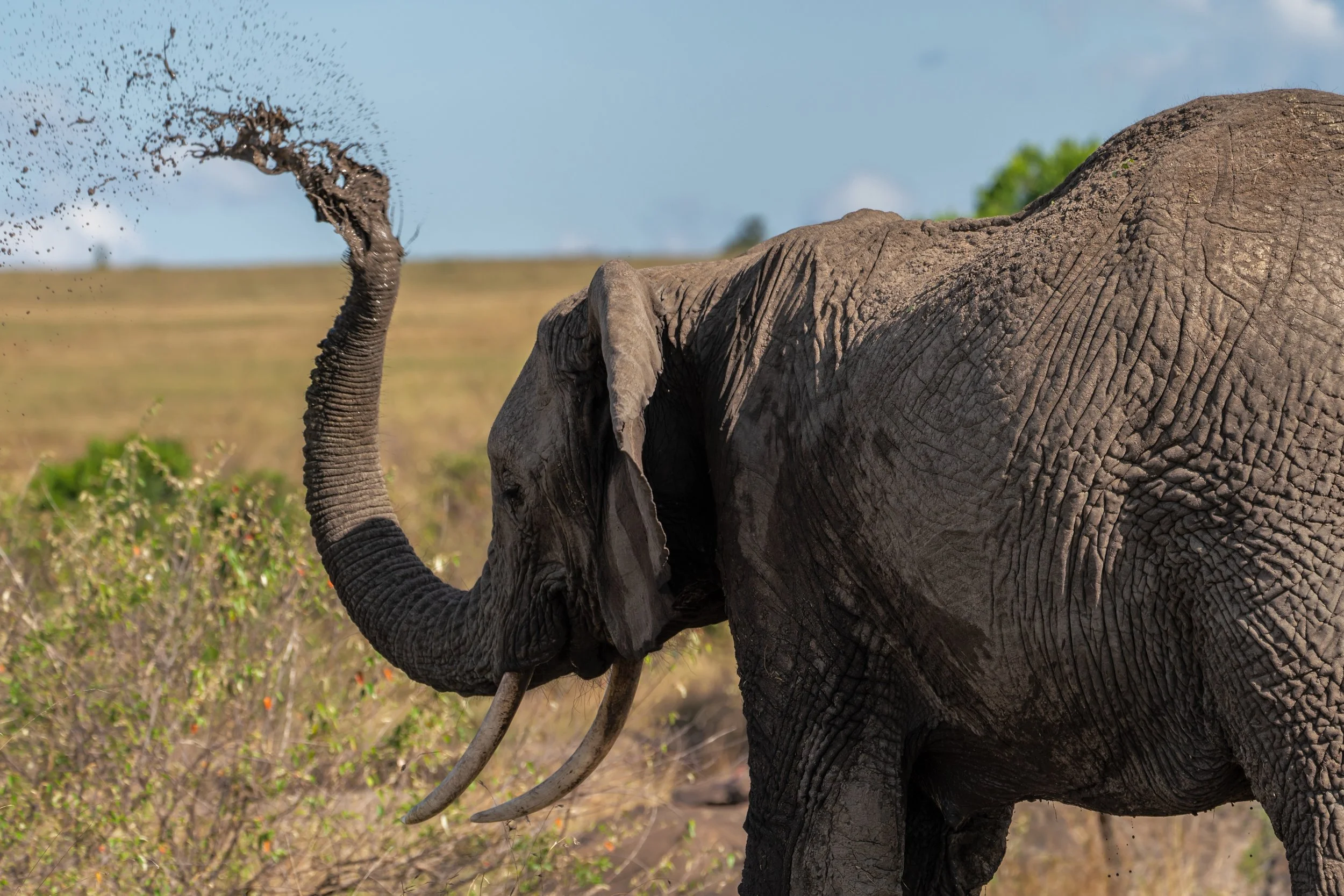 James Parren-08851-2.JPG