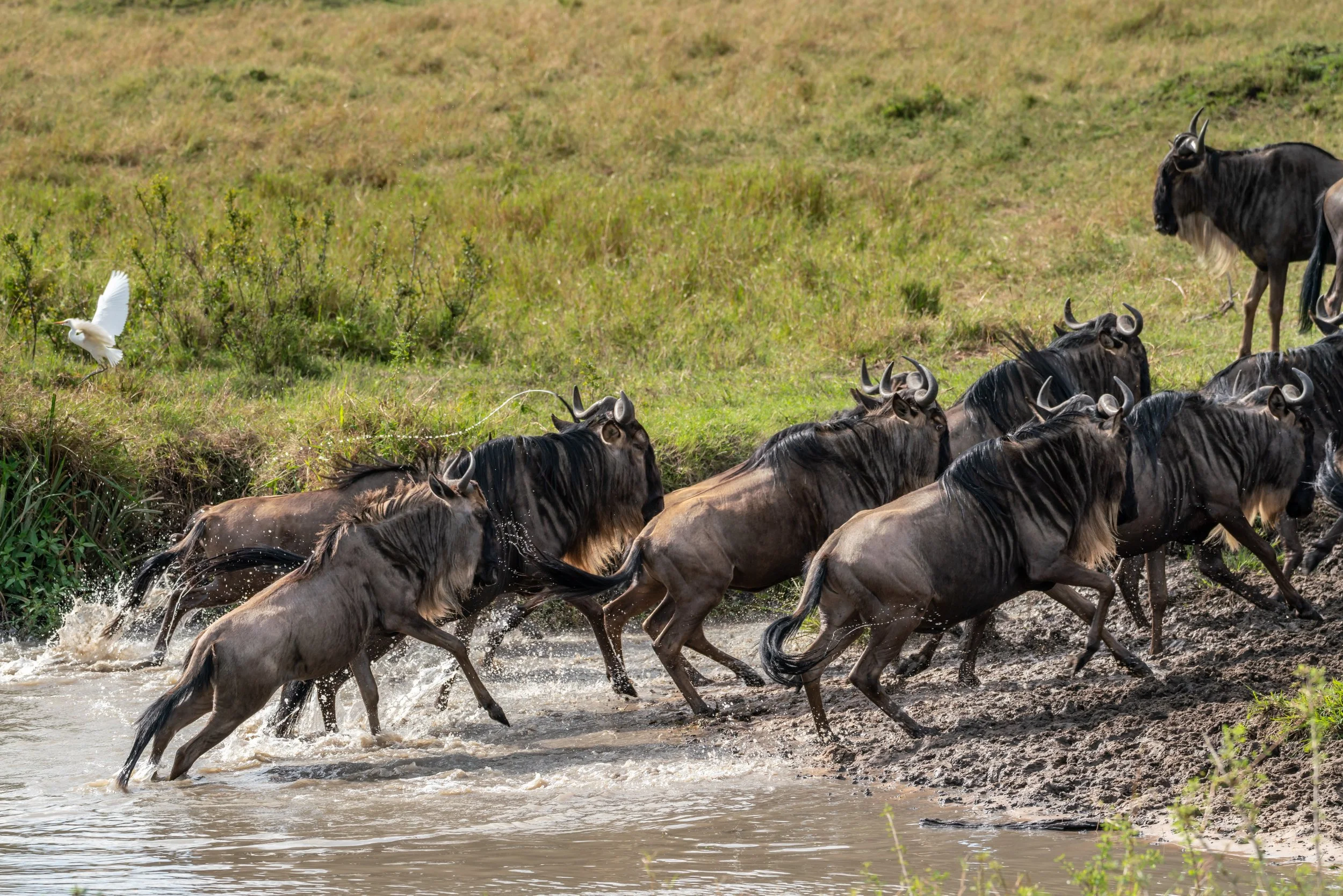 James Parren-09088-2.JPG